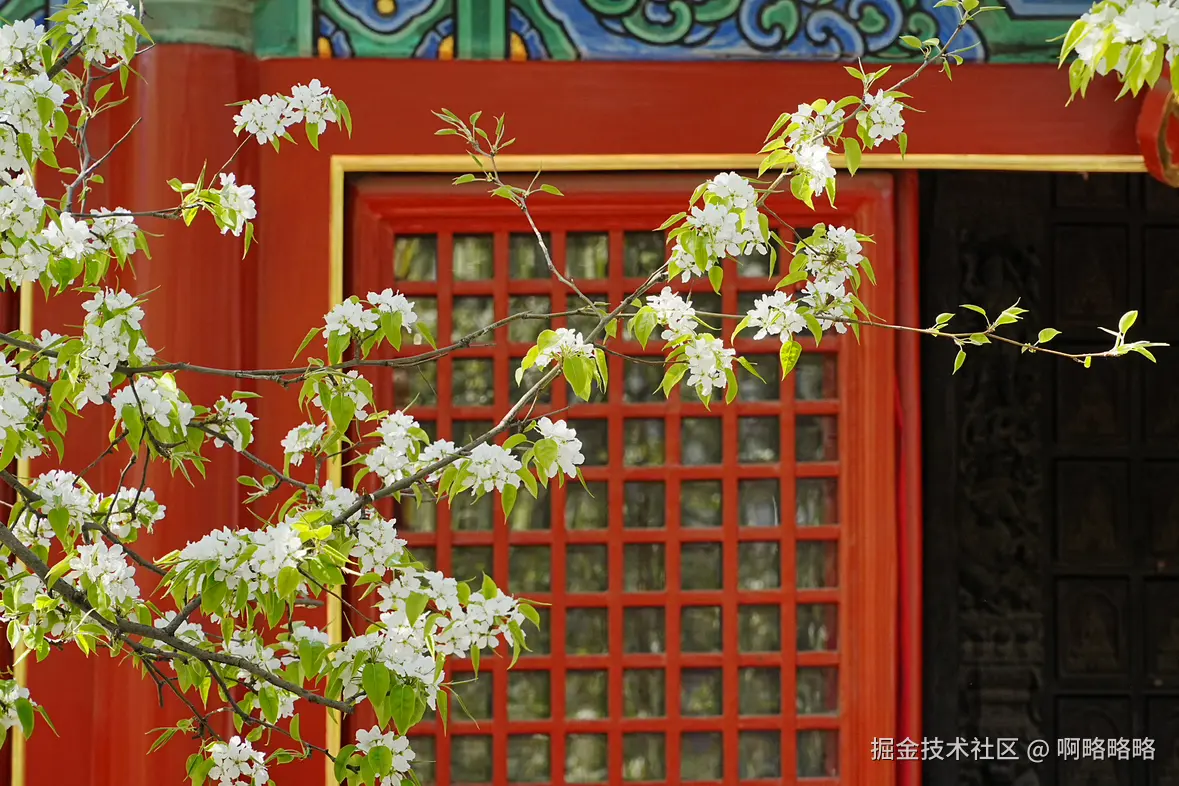 啊略略略于2025-04-02 14:21发布的图片