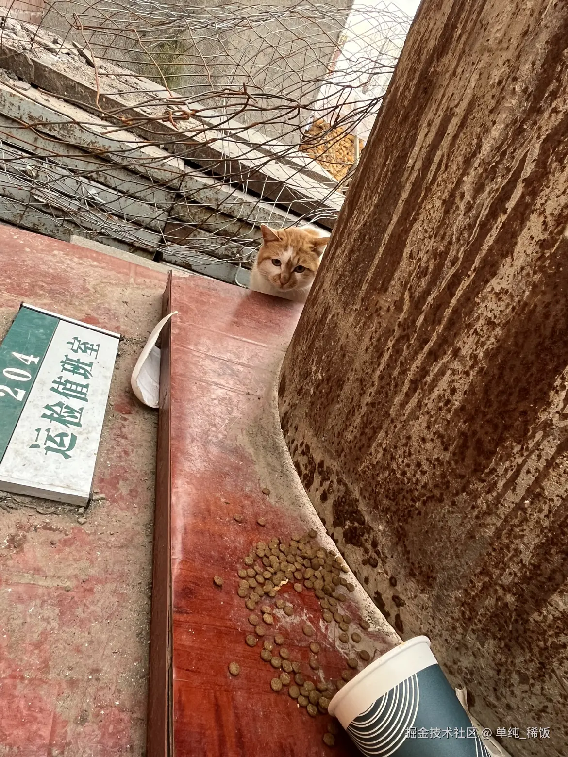 单纯_稀饭于2025-12-02 09:18发布的图片