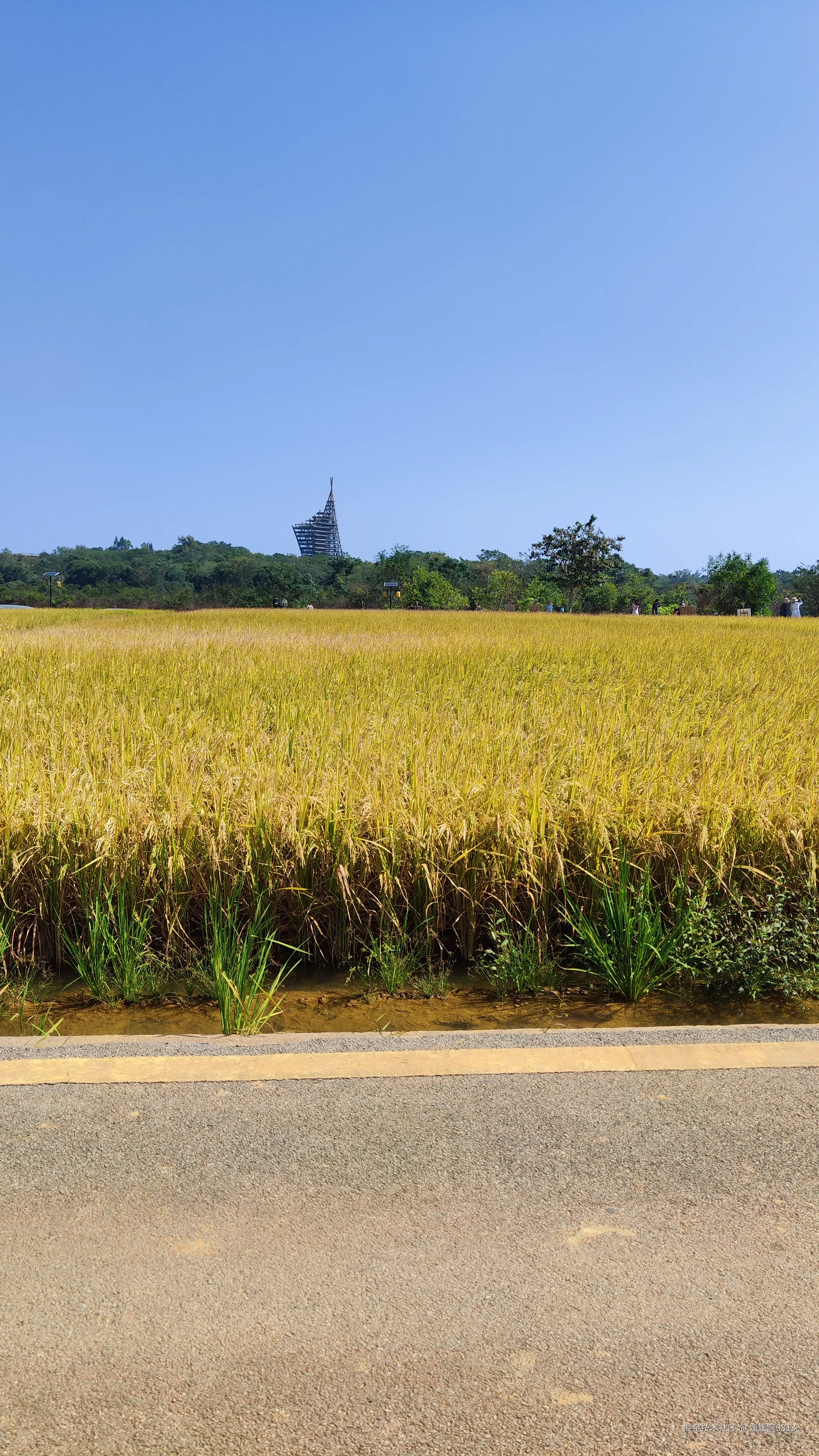 媛媛啊9813于2024-11-03 07:19发布的图片