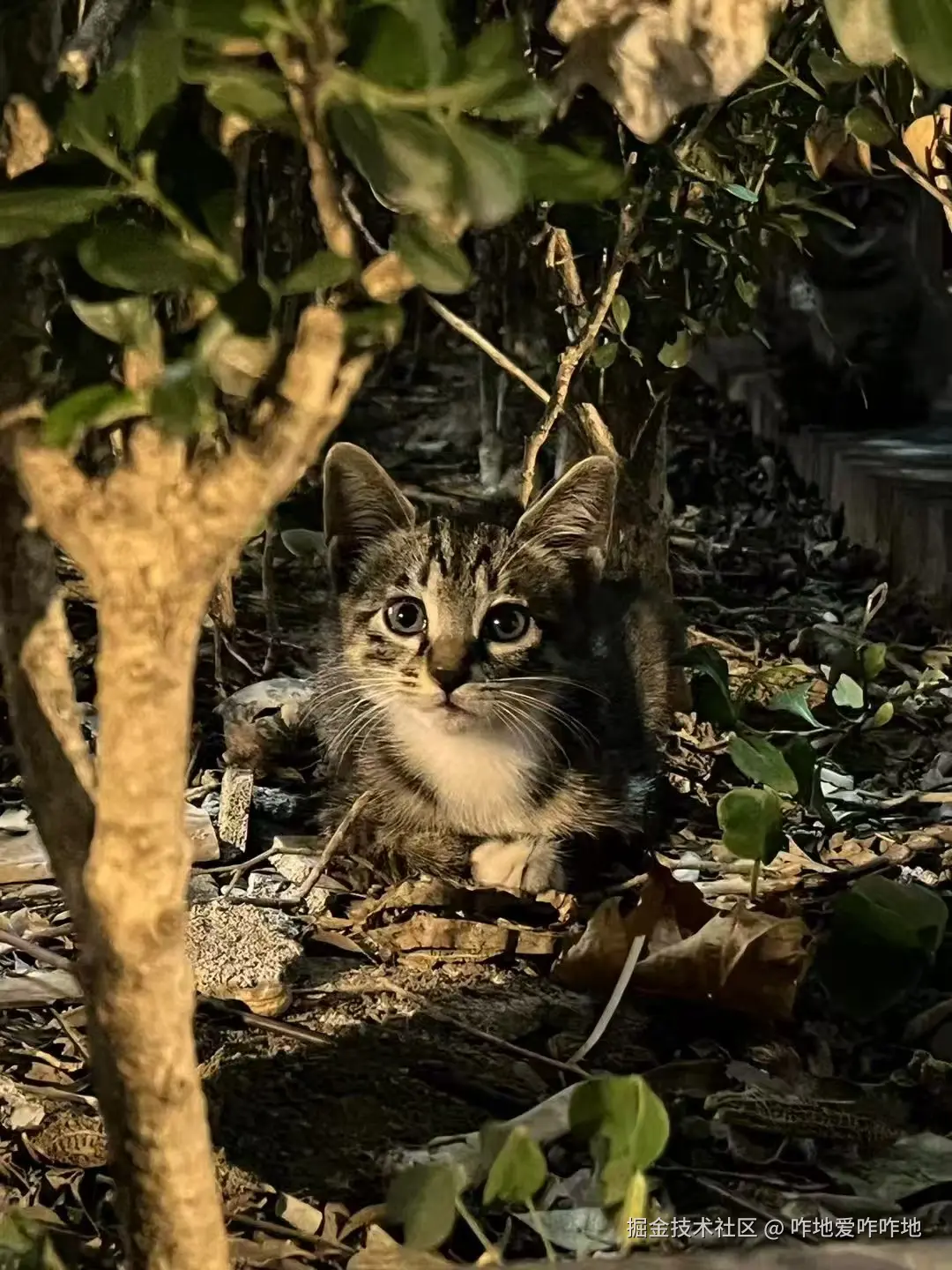 咋地爱咋咋地于2025-11-12 13:41发布的图片