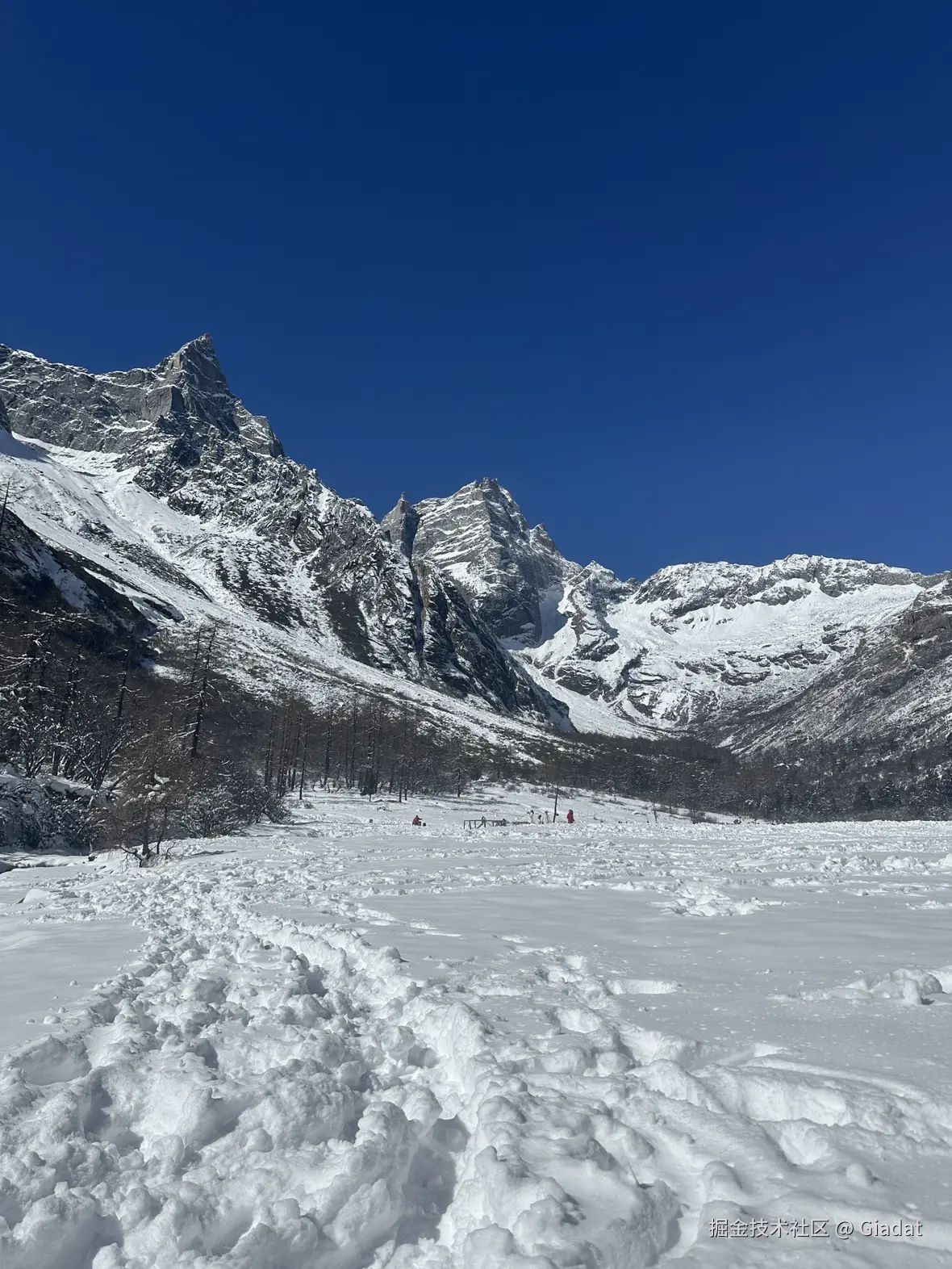 Giadat于2024-12-02 10:48发布的图片