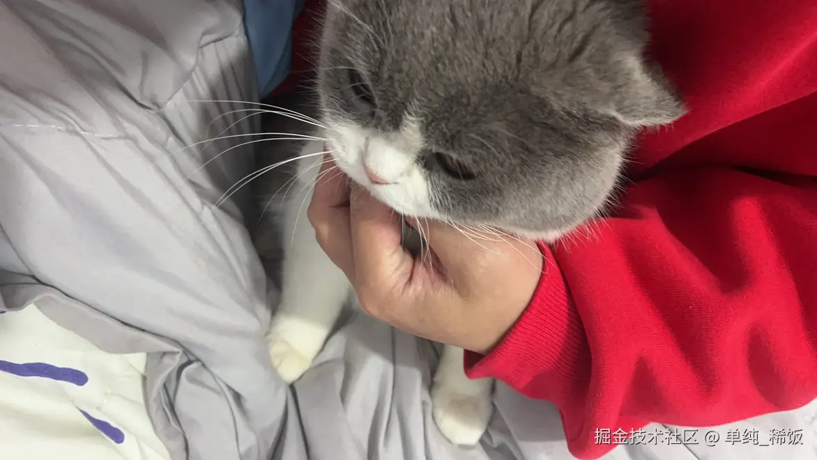 单纯_稀饭于2025-02-07 08:15发布的图片