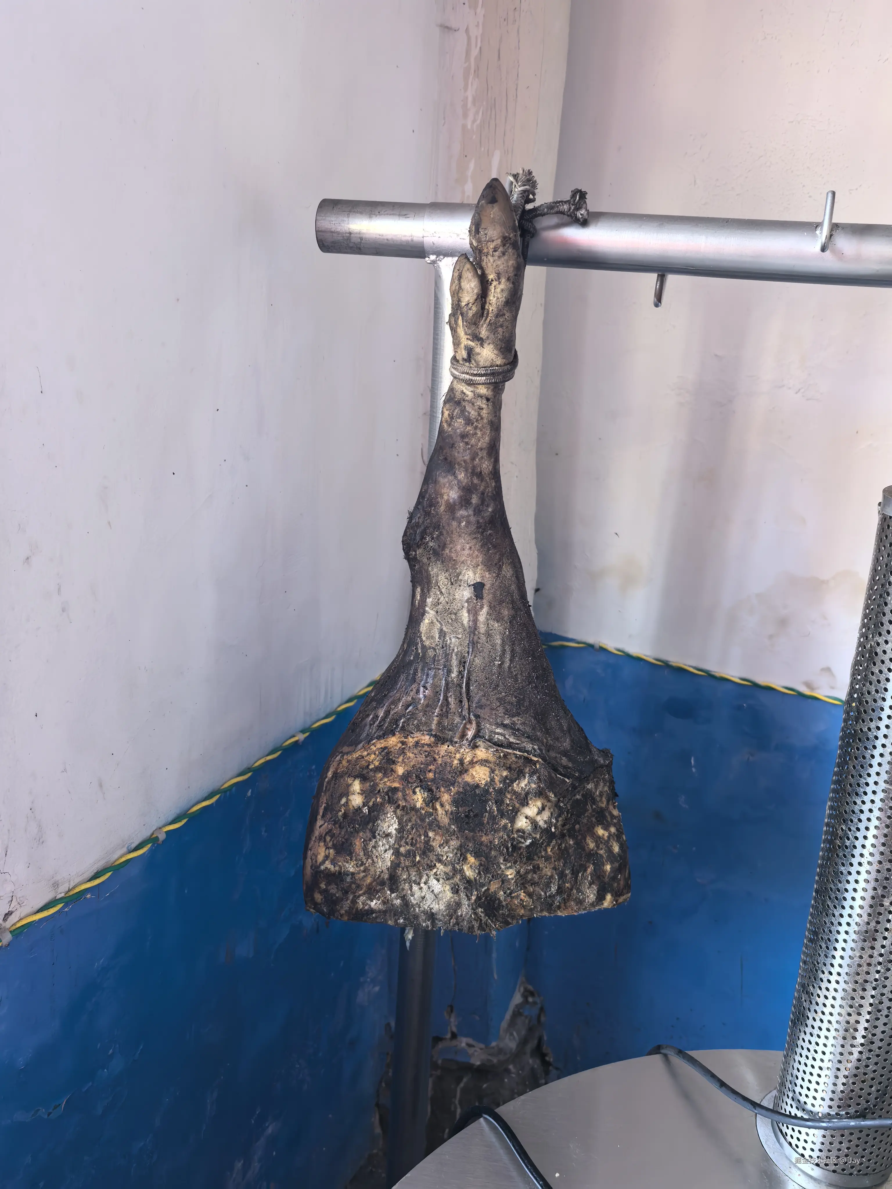 Jay丶于2026-02-24 11:34发布的图片