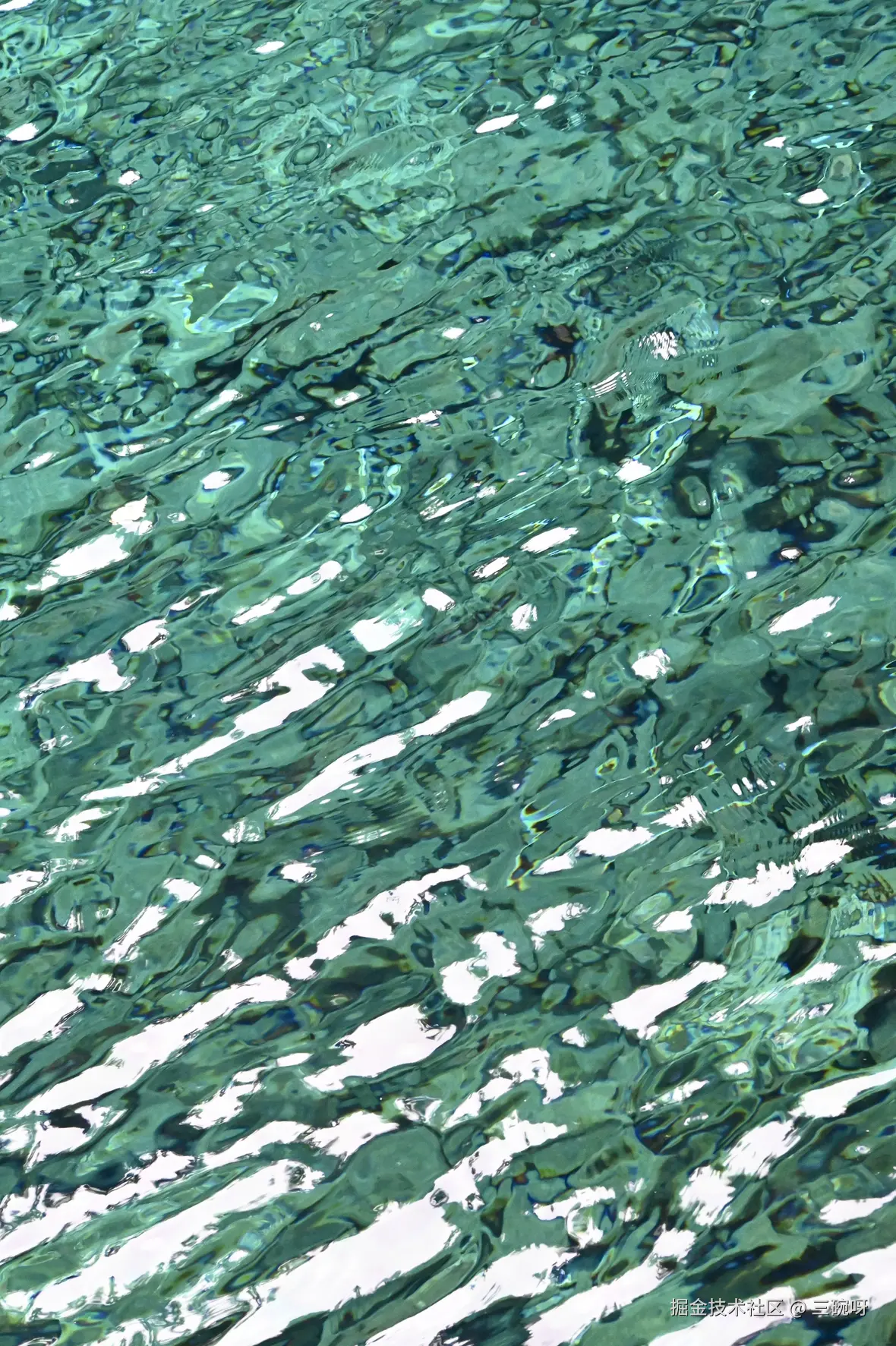 三碗呀于2025-11-19 16:23发布的图片