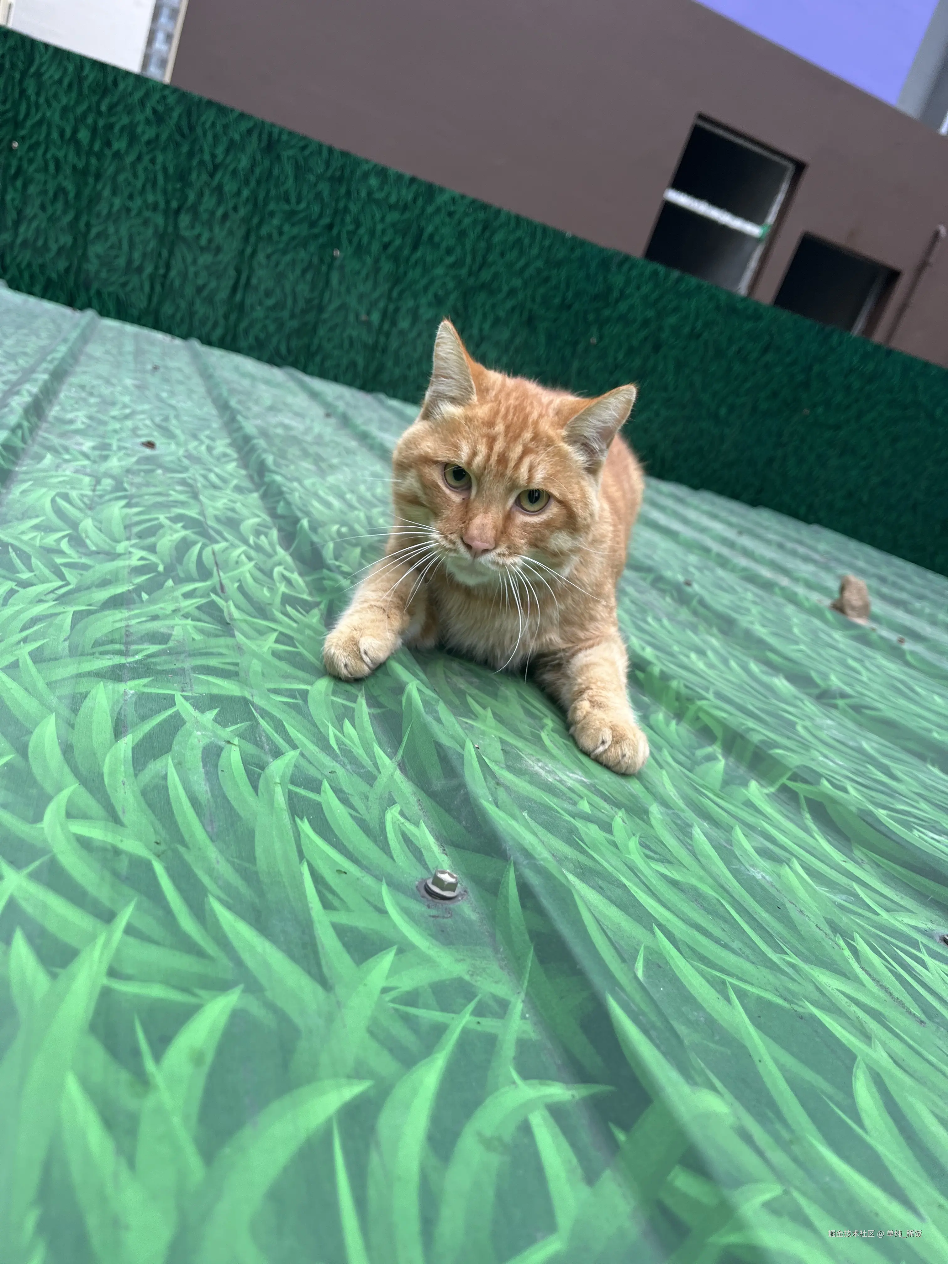 单纯_稀饭于2025-10-11 11:50发布的图片