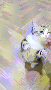 古德墨柠于2026-03-23 14:29发布的图片