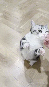 古德墨柠于2026-03-23 14:29发布的图片