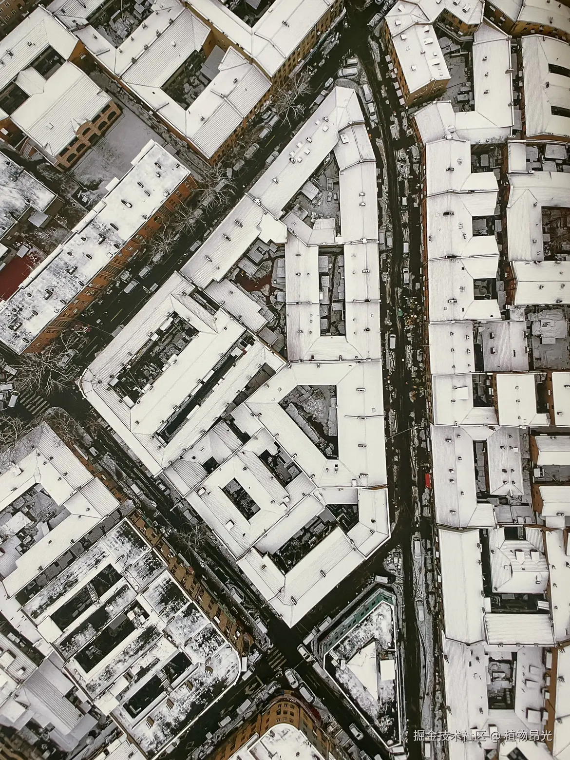 植物昂光于2026-04-23 21:31发布的图片