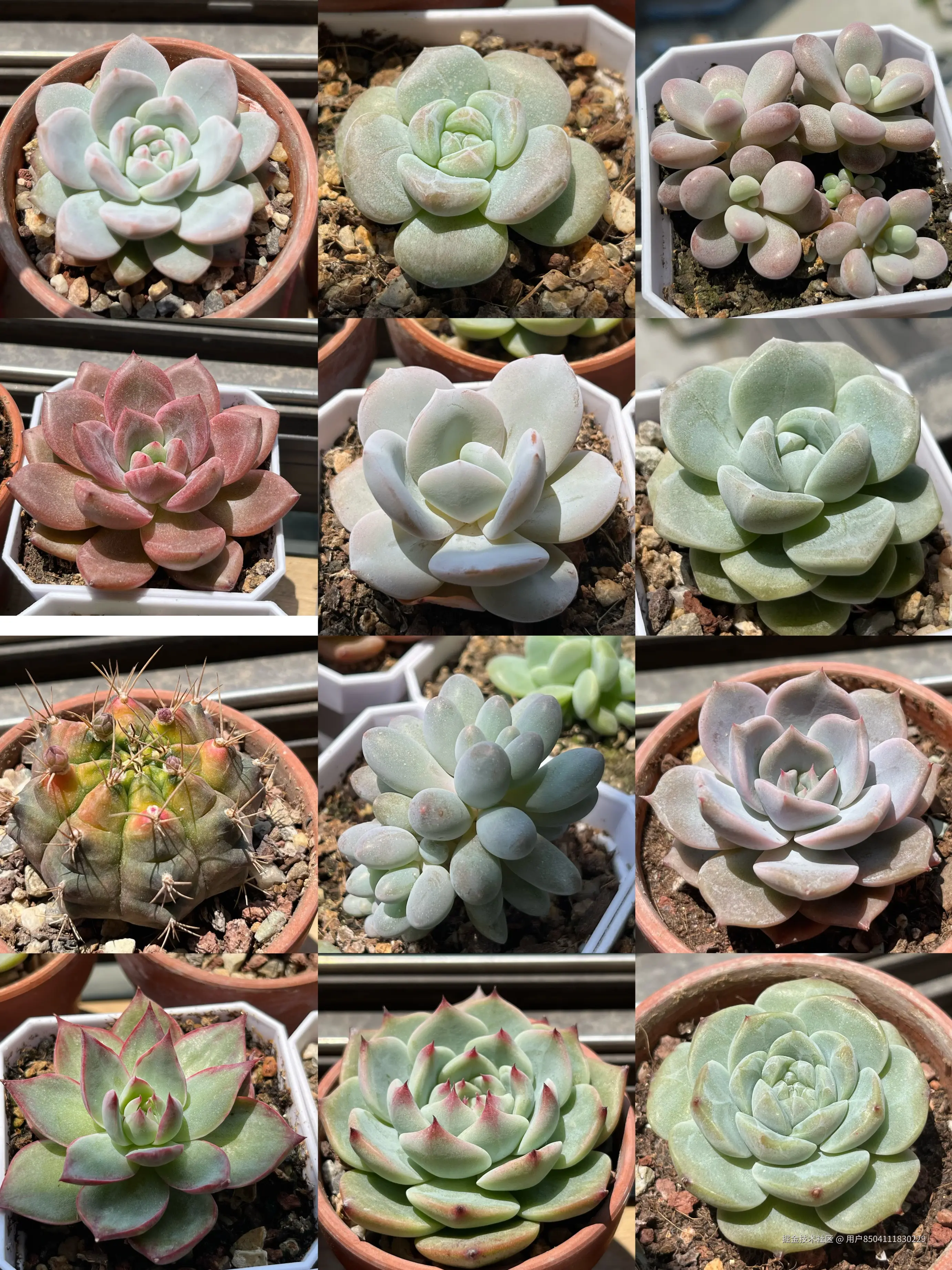 用户8504111830229于2025-03-31 10:40发布的图片