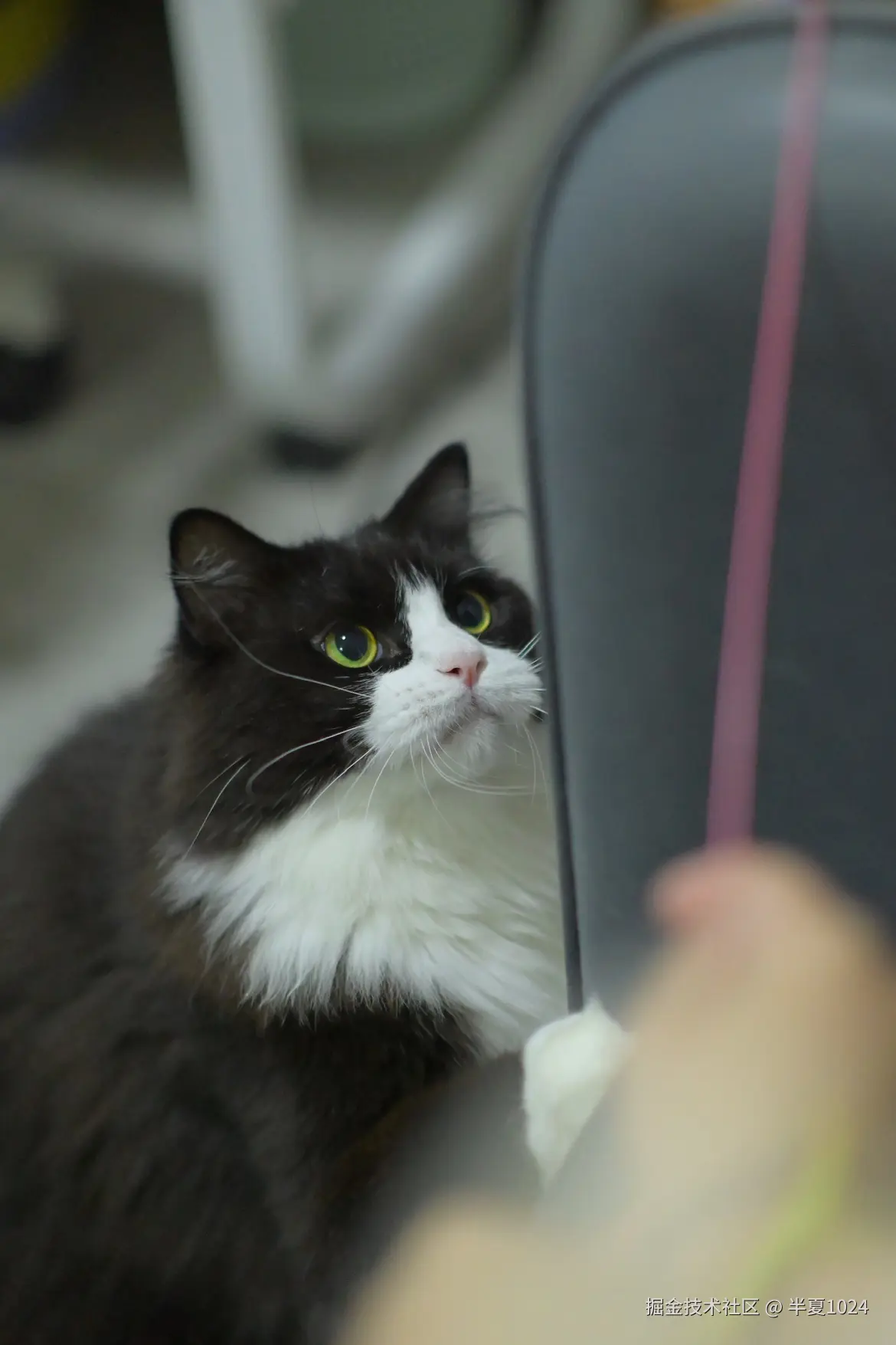 半夏1024于2024-08-19 10:37发布的图片