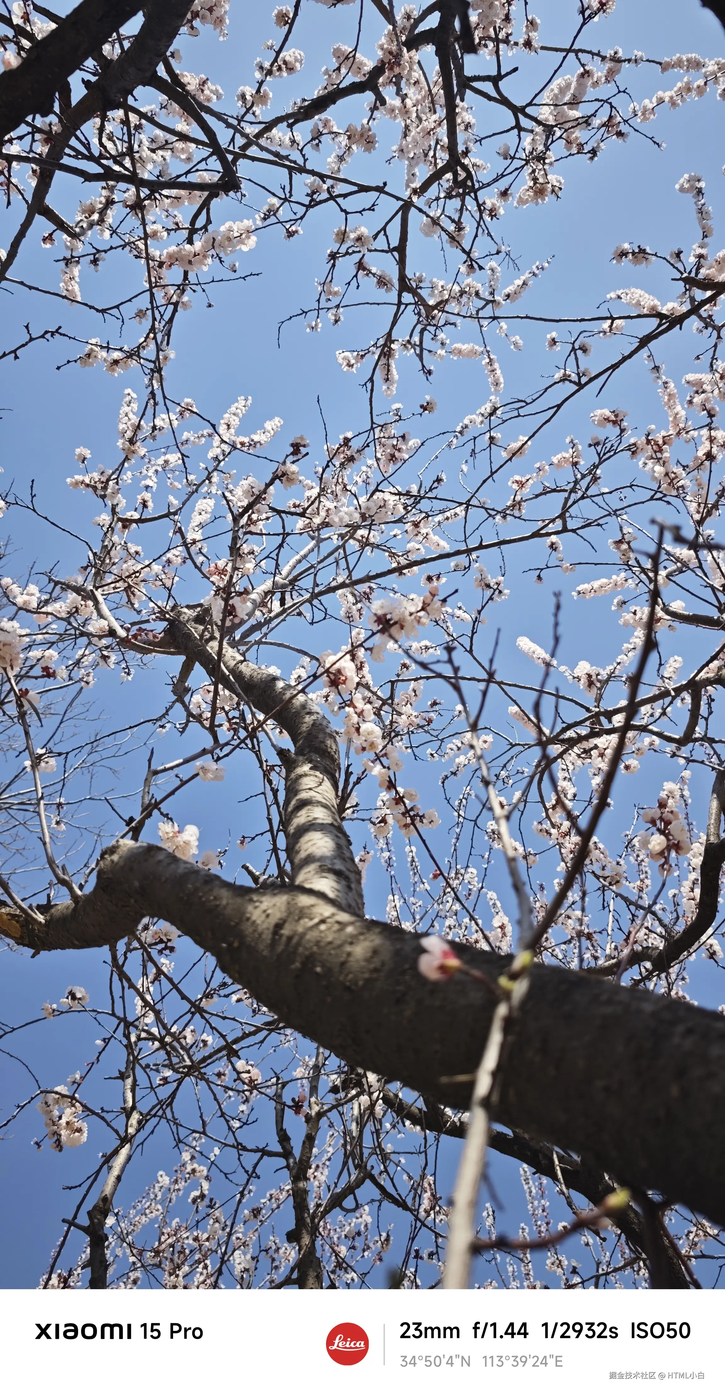 HTML小白于2025-03-19 09:31发布的图片