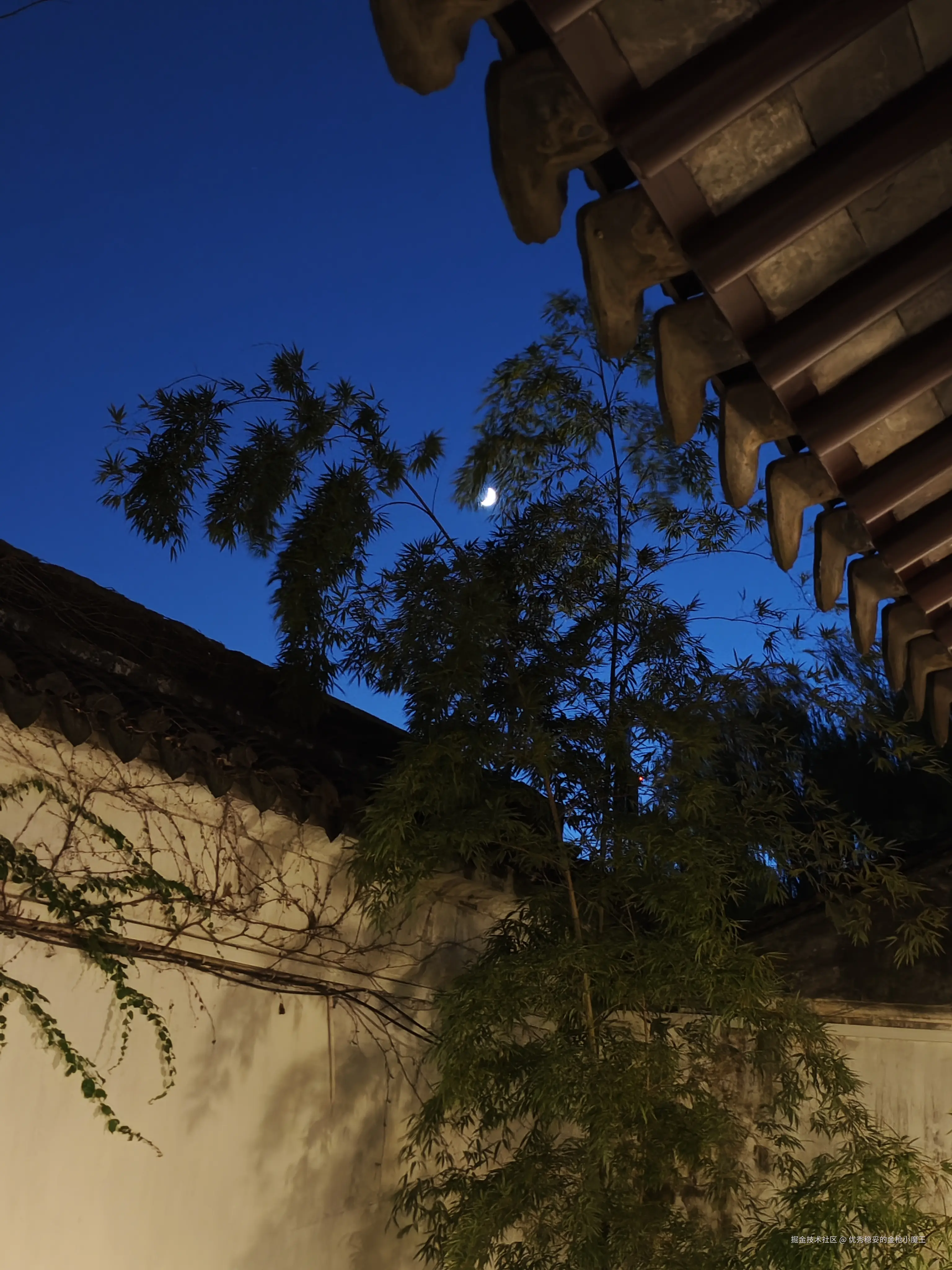 优秀稳妥的金枪小魔王于2025-09-02 06:01发布的图片