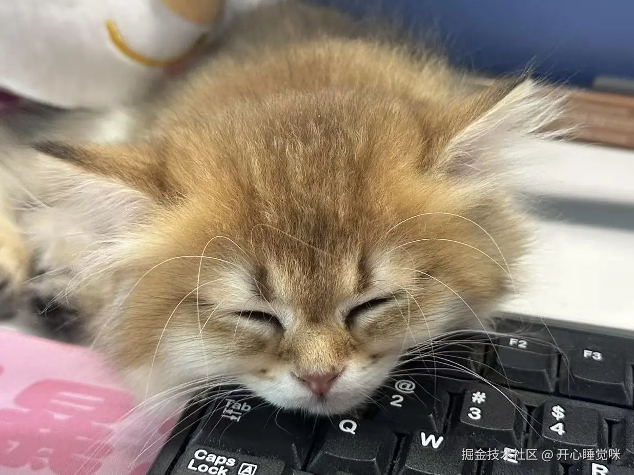 开心睡觉咪于2025-07-30 15:41发布的图片