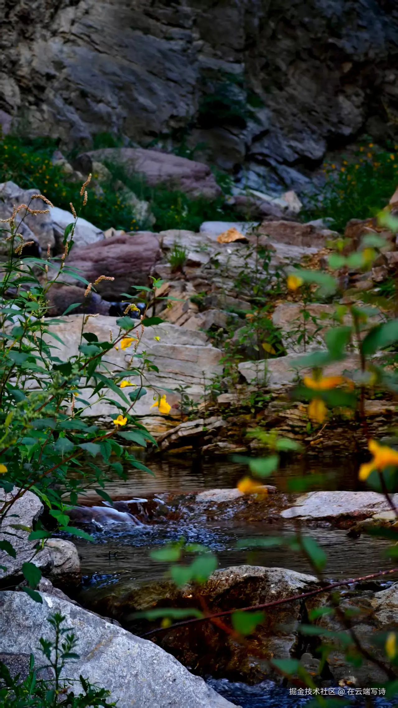 在云端写诗于2025-08-18 17:50发布的图片