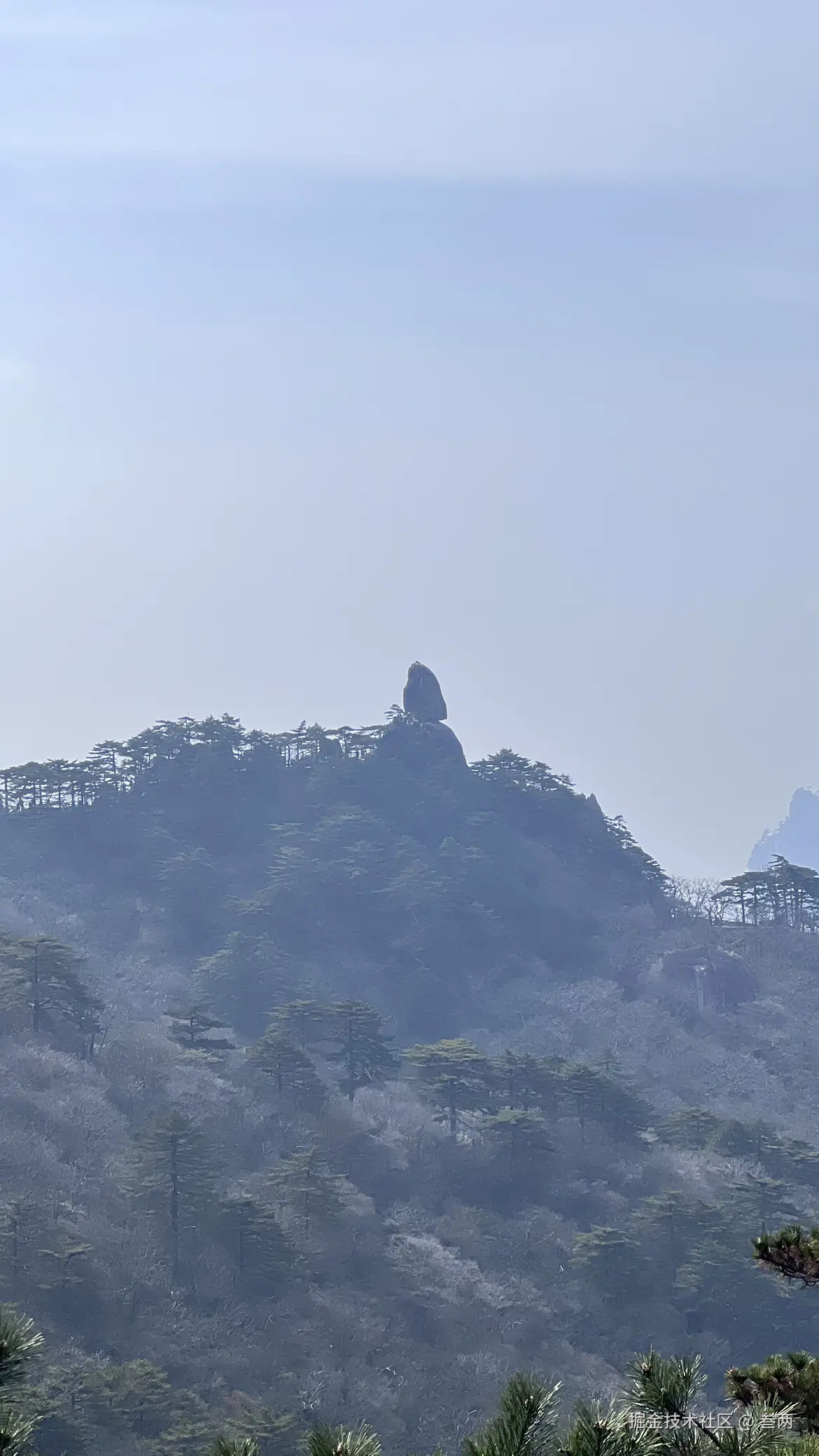 叁两于2026-03-09 09:55发布的图片