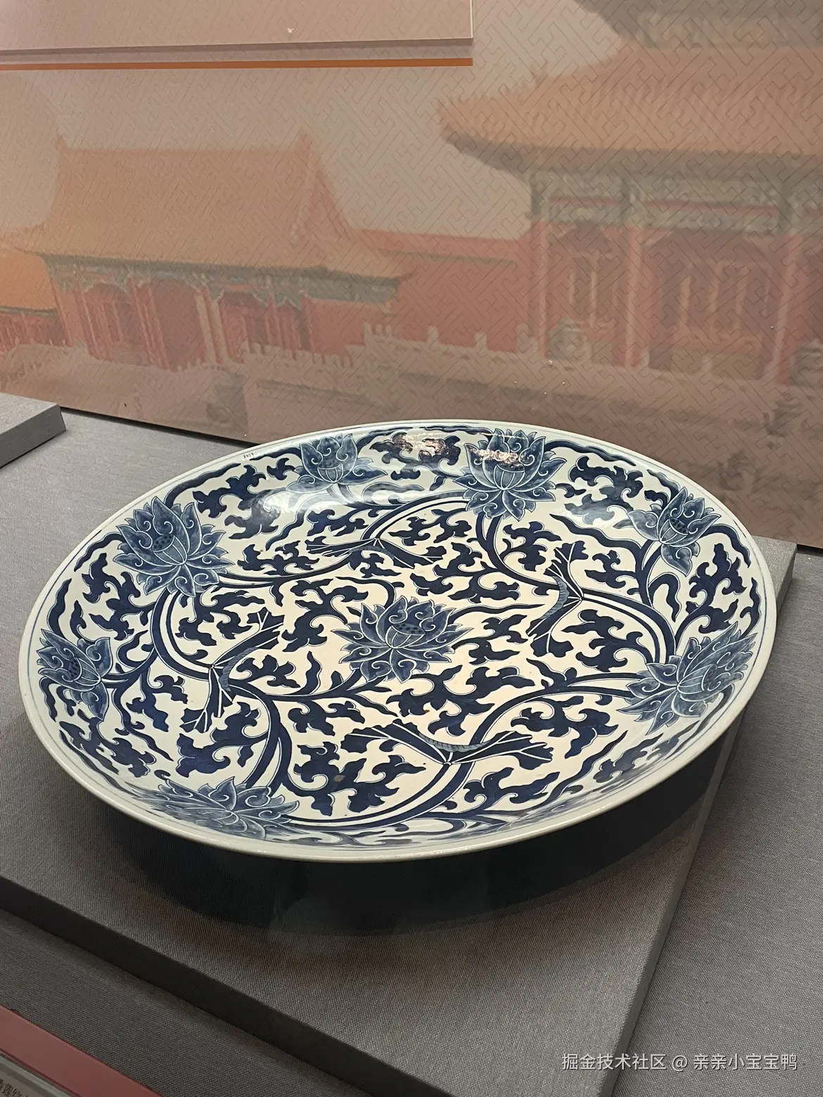 亲亲小宝宝鸭于2026-01-04 09:11发布的图片