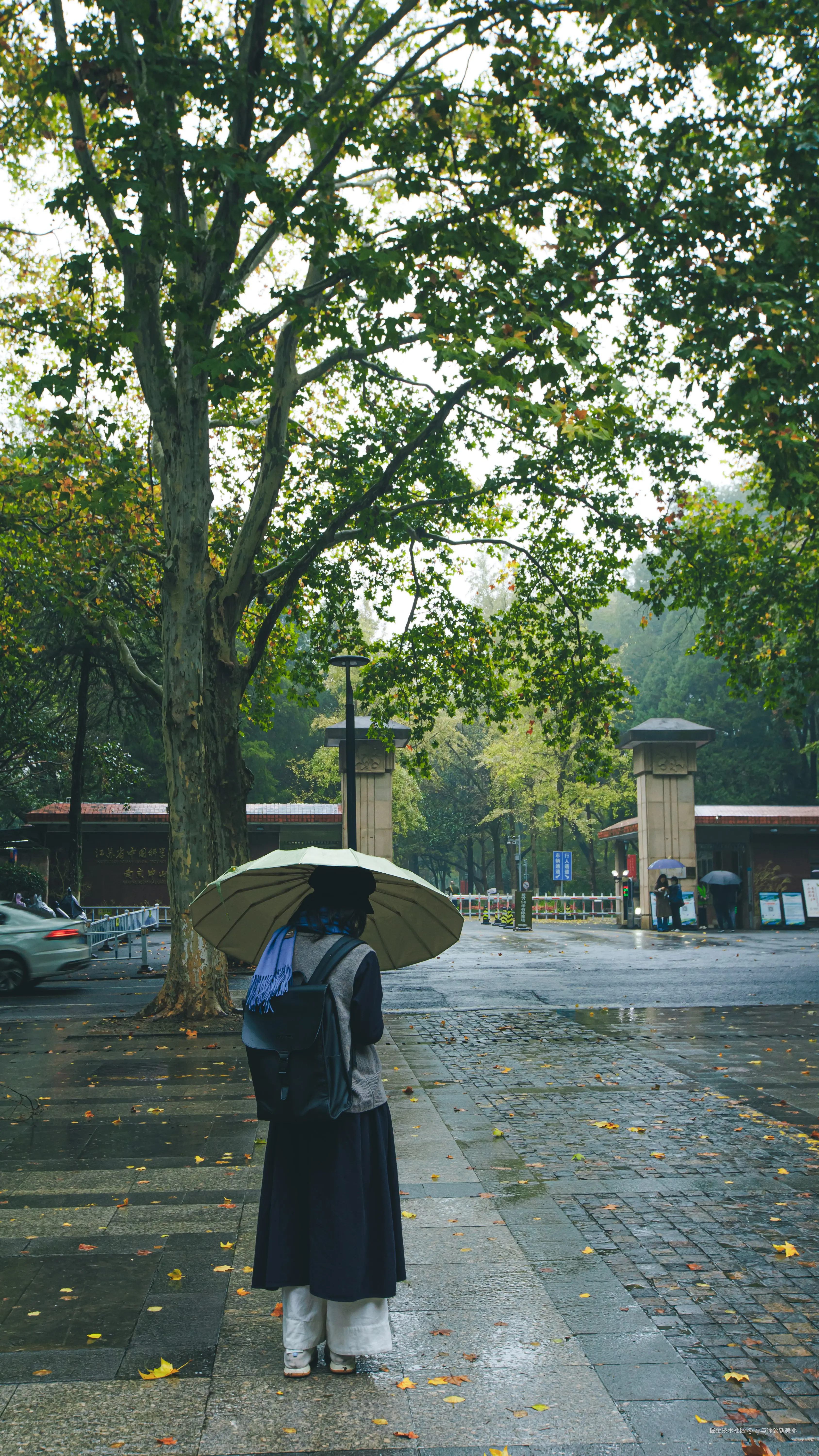 吾与徐公孰美耶于2025-11-24 10:13发布的图片