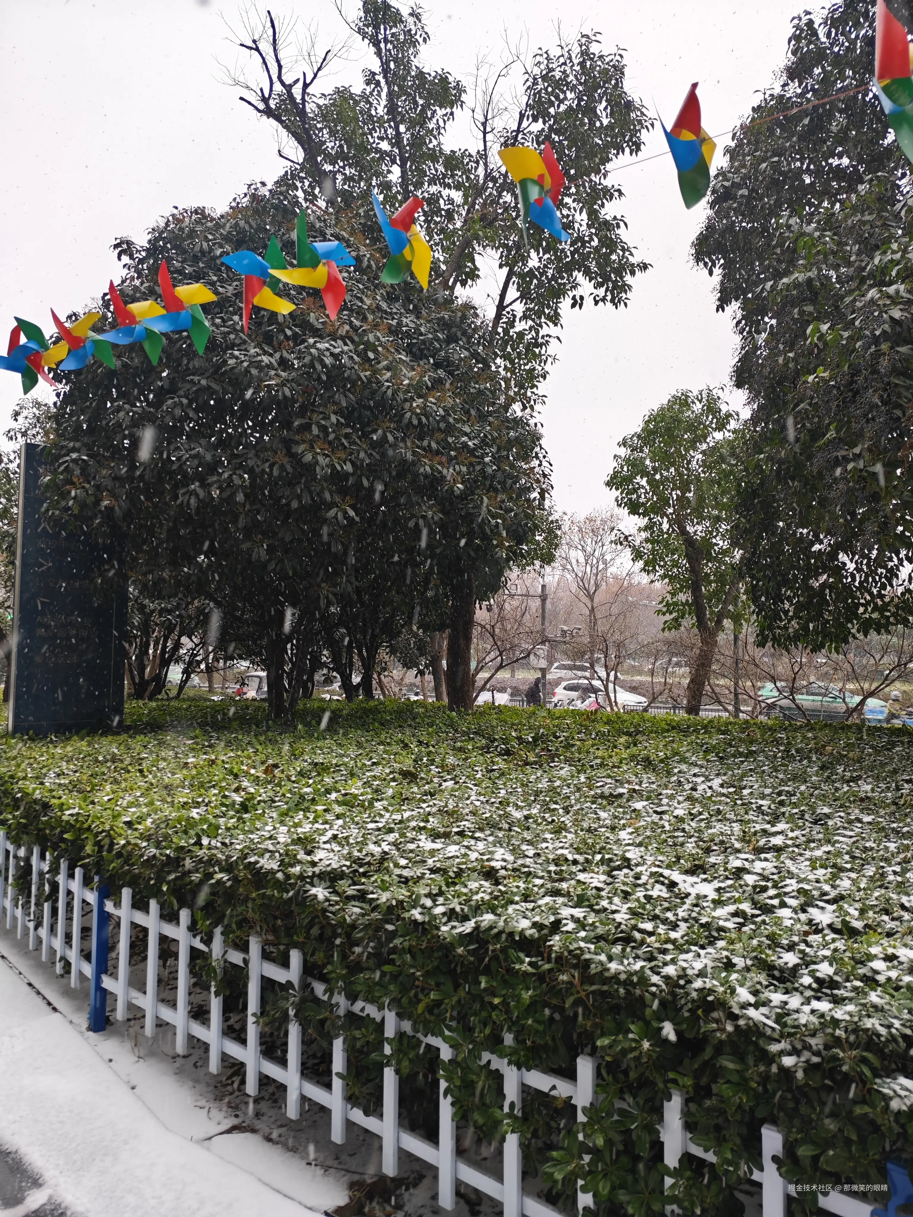 那微笑的眼睛于2025-12-12 14:47发布的图片