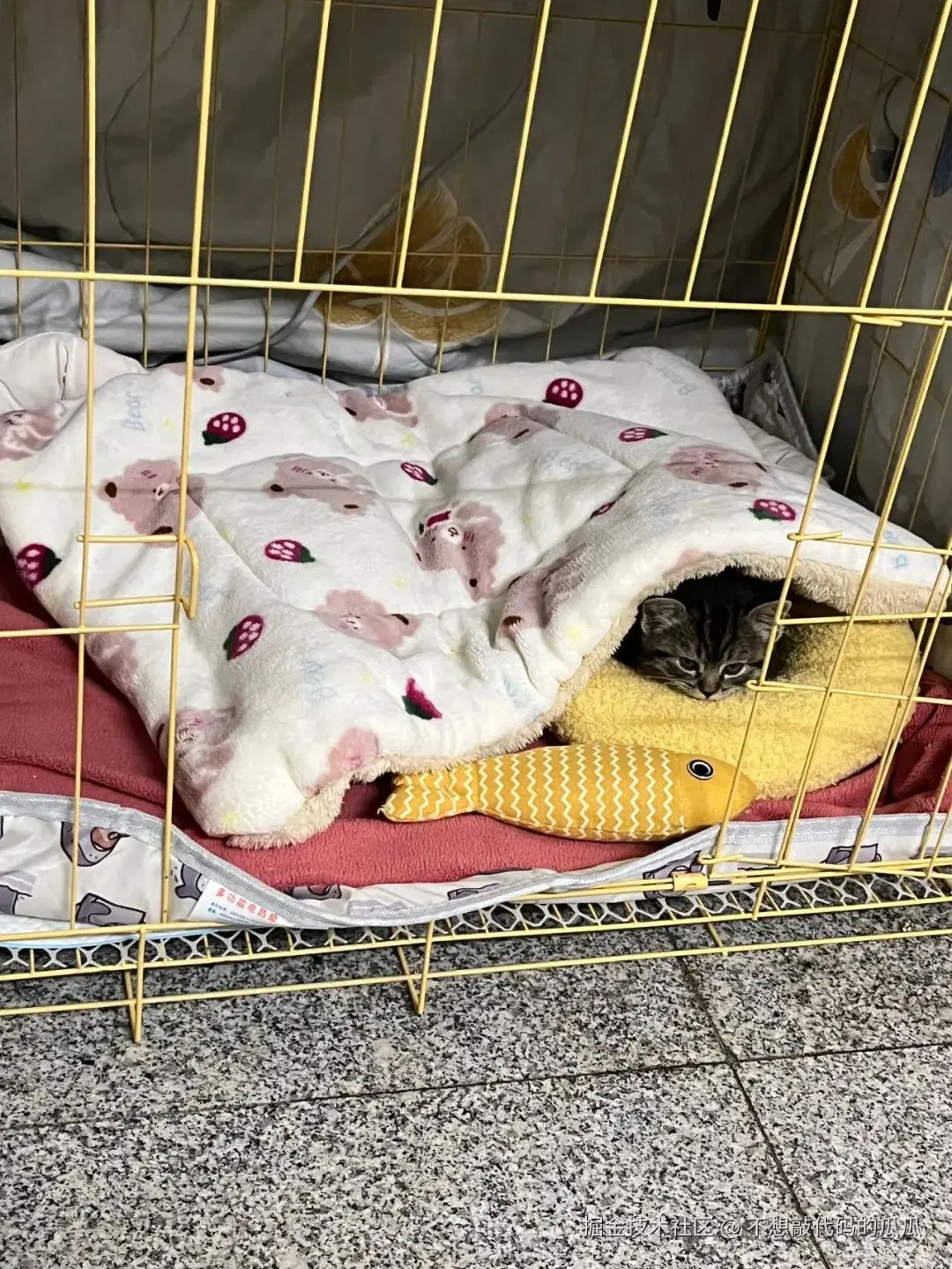 不想敲代码的瓜瓜于2025-04-25 10:43发布的图片