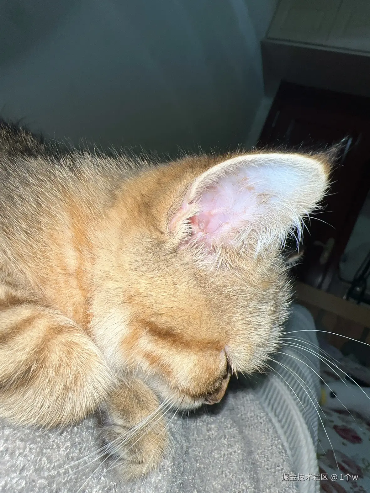 1个w于2024-09-20 15:30发布的图片