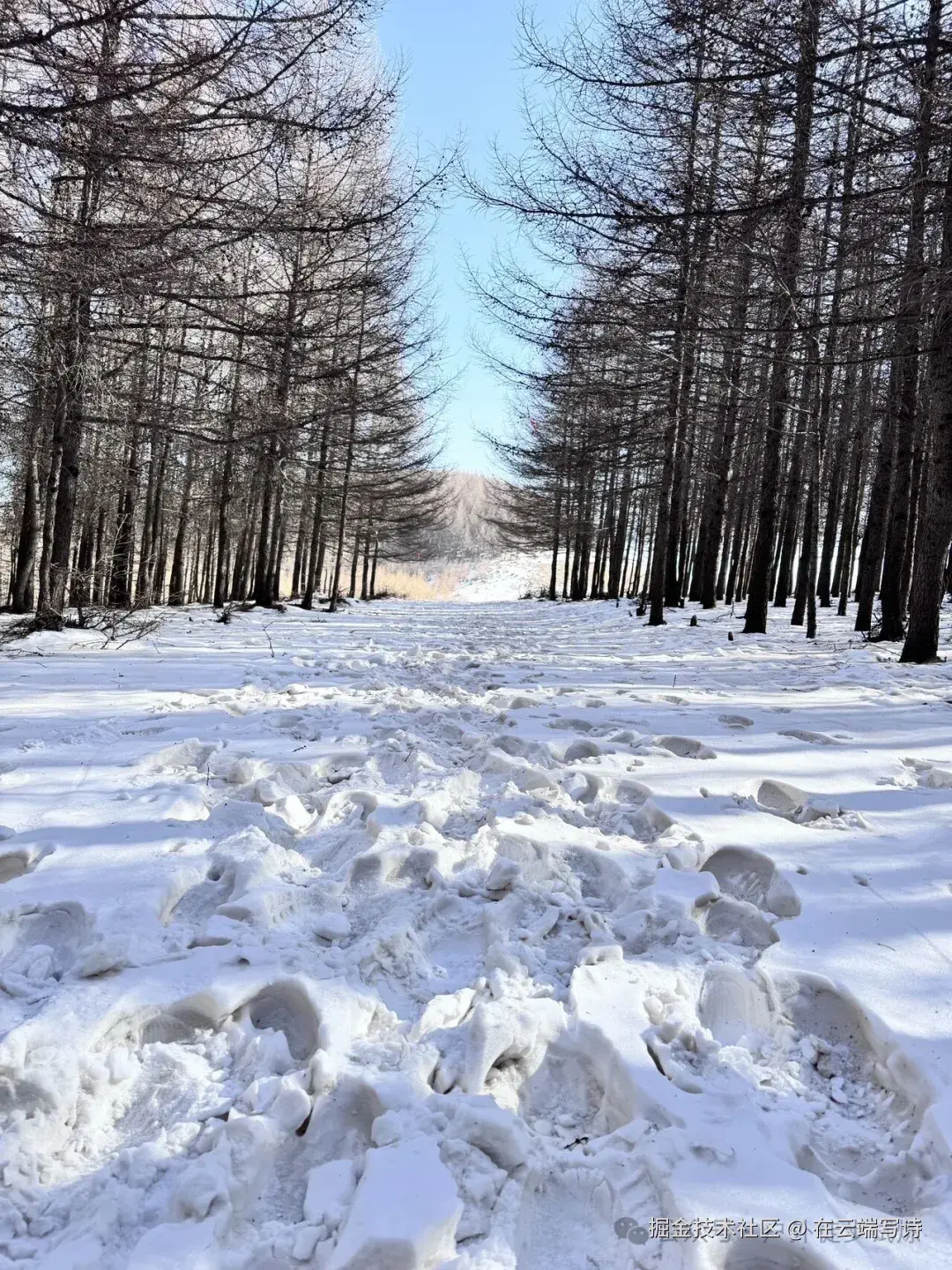 在云端写诗于2025-12-01 11:16发布的图片