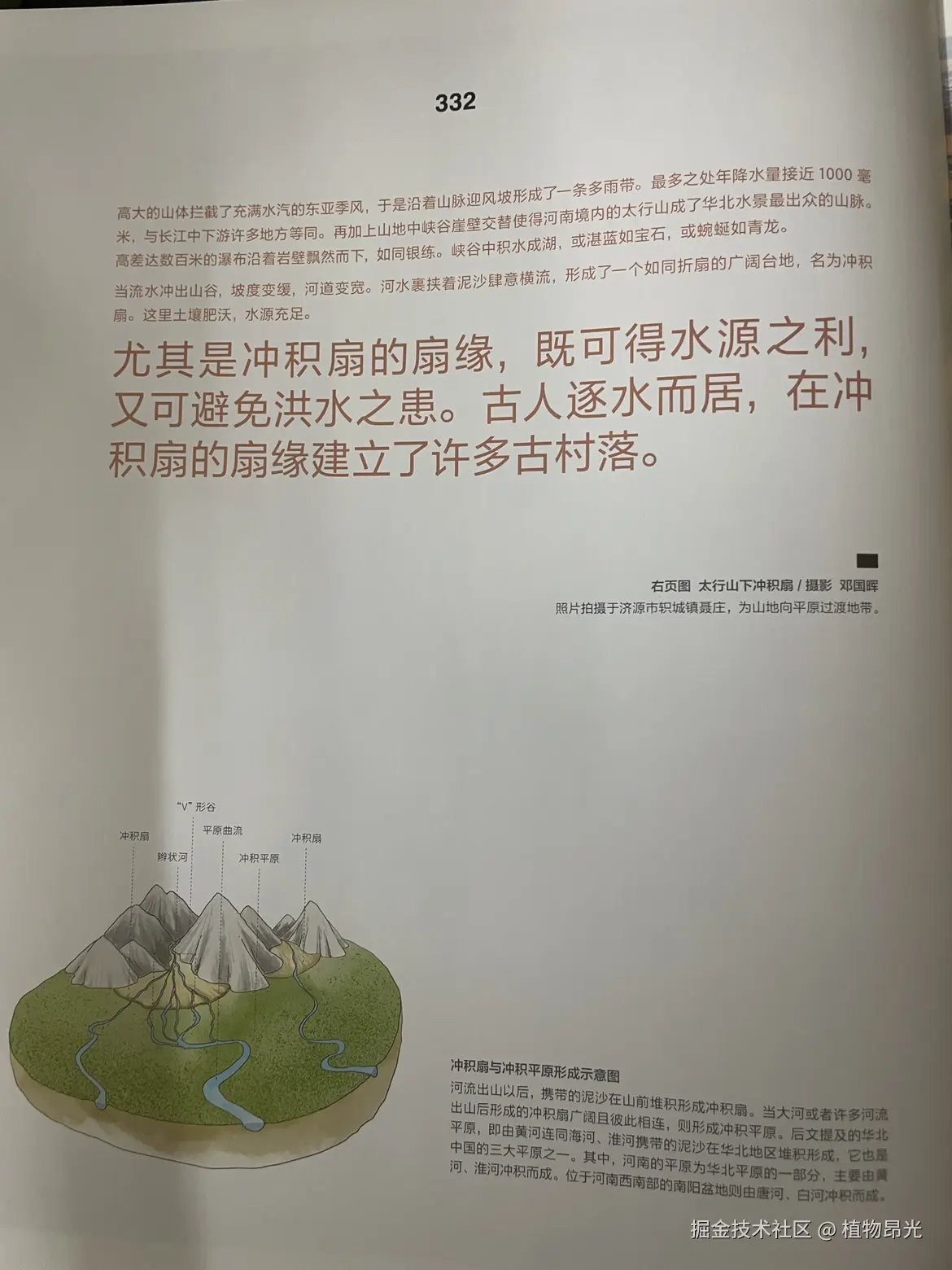 植物昂光于2026-04-10 21:41发布的图片