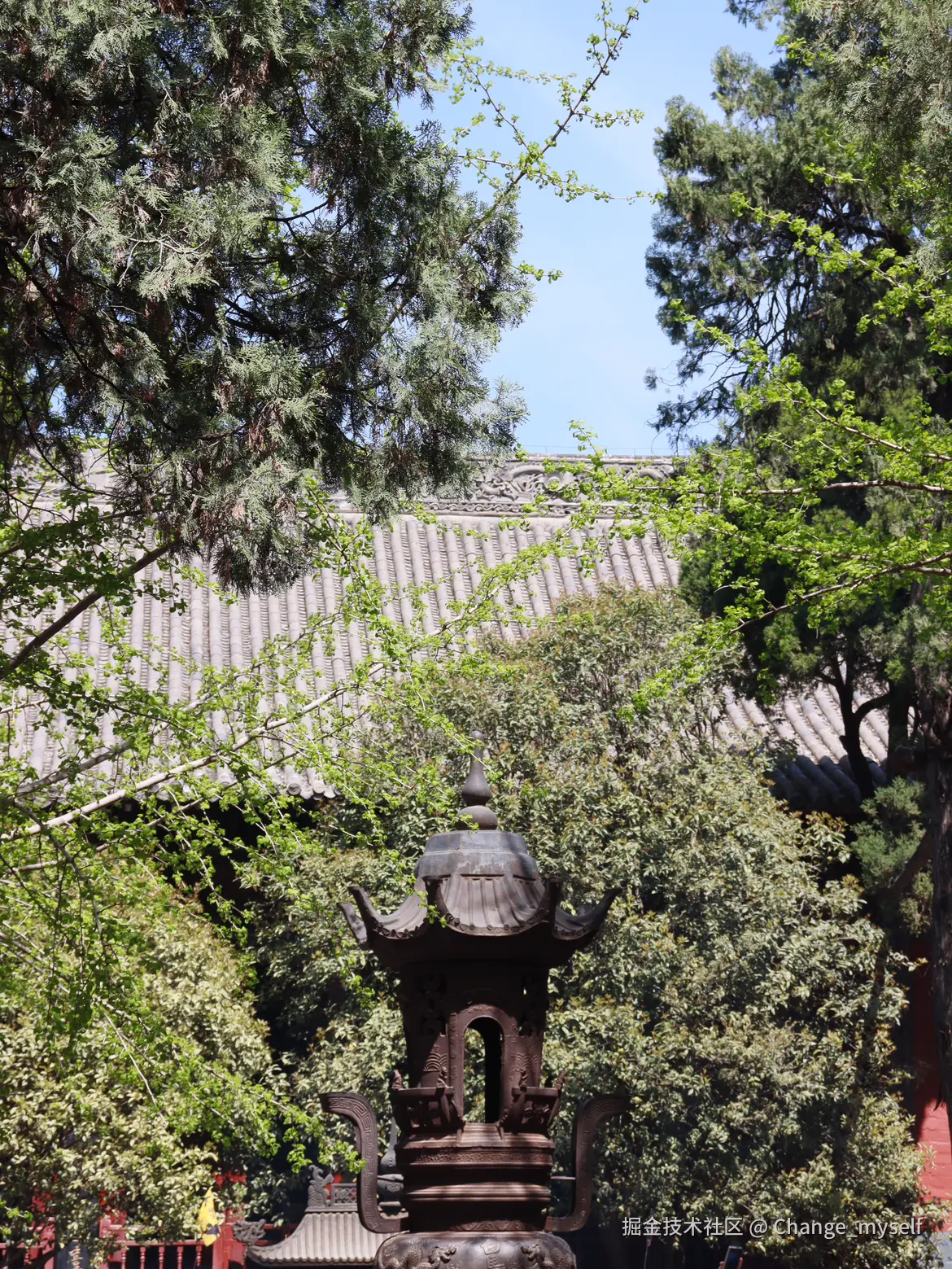 Change_myself于2025-04-07 14:42发布的图片