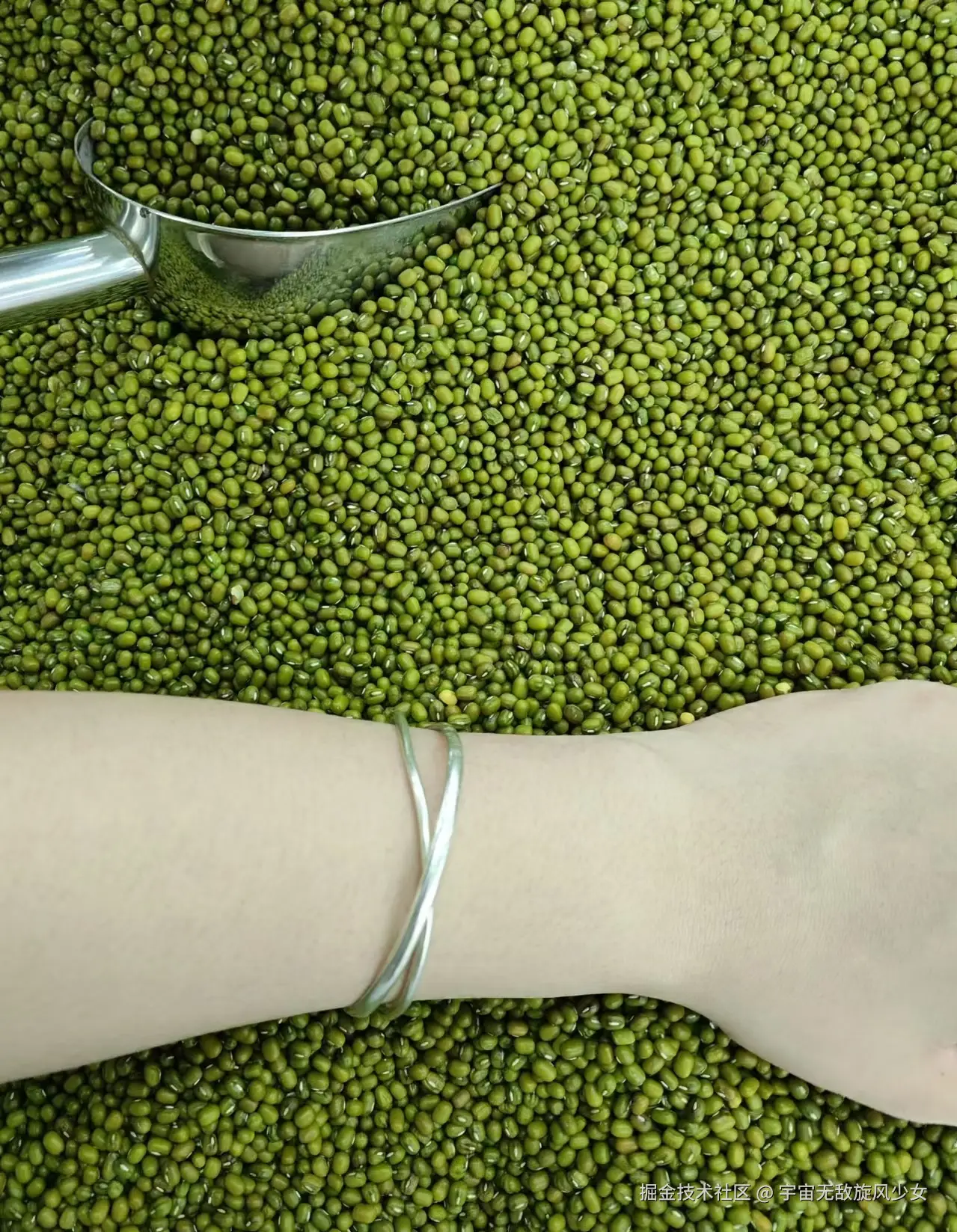 宇宙无敌旋风少女于2024-09-03 08:56发布的图片