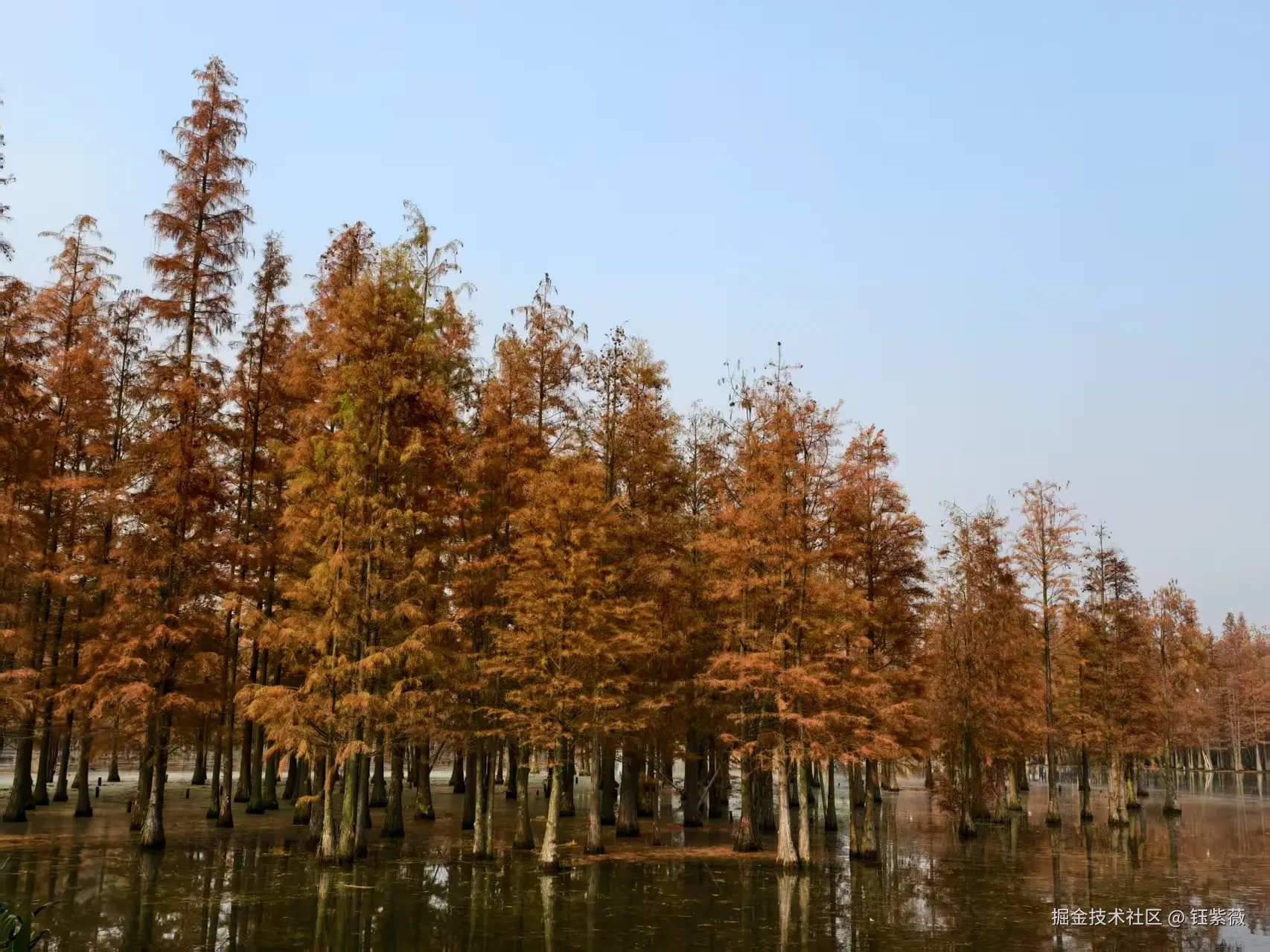 钰紫薇于2025-12-01 09:42发布的图片