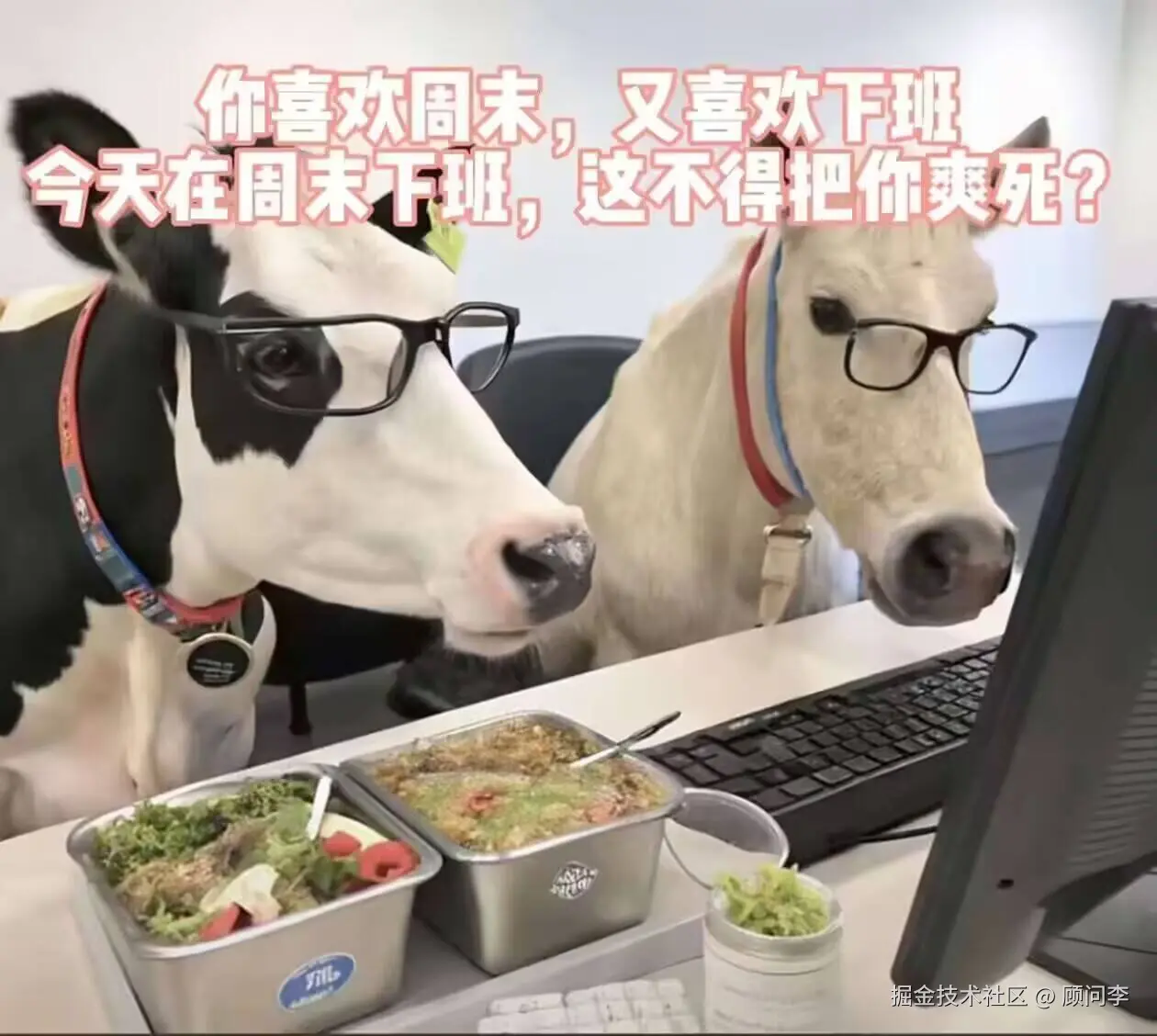 顾问李于2025-09-28 17:18发布的图片