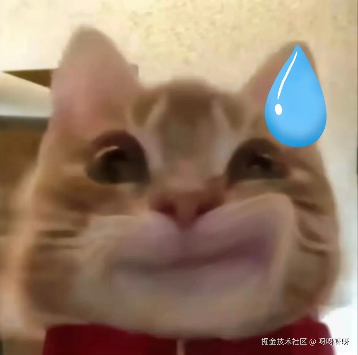 呀呀呀呀于2024-11-20 09:44发布的图片