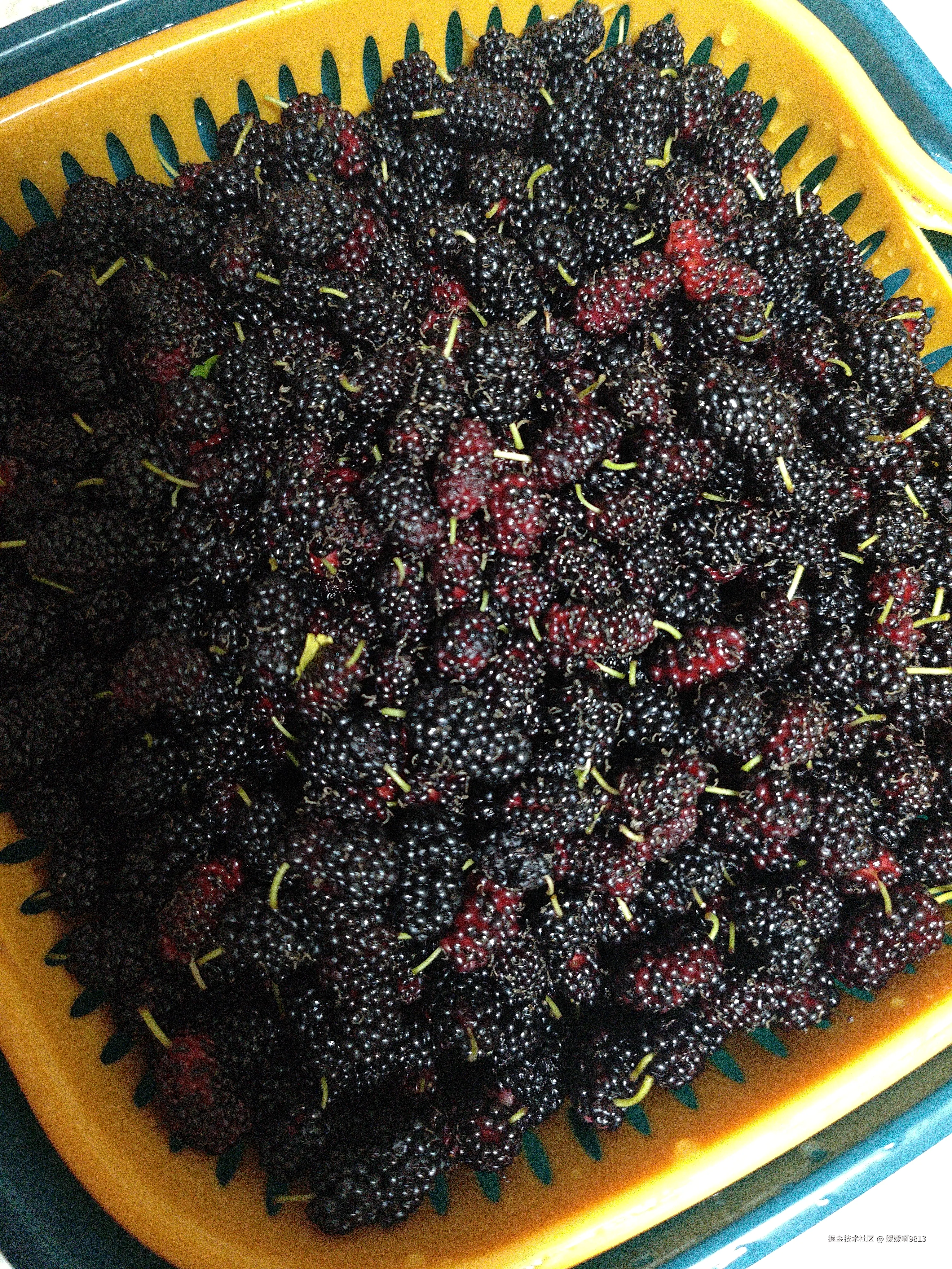 媛媛啊9813于2026-03-28 19:57发布的图片