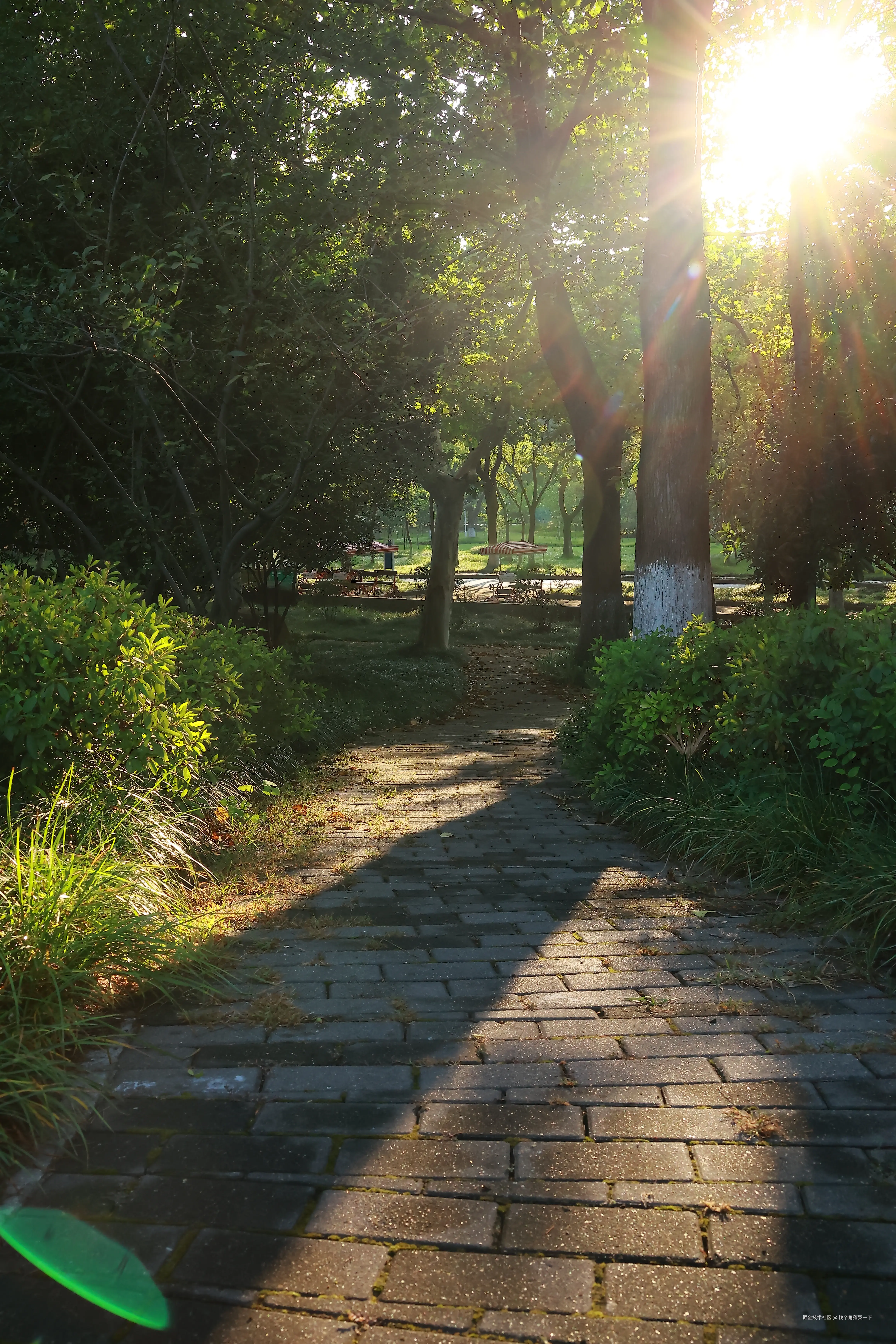 找个角落哭一下于2025-07-28 13:49发布的图片