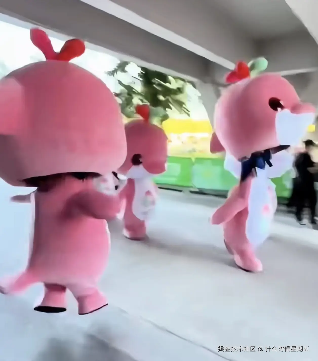 什么时候星期五于2025-11-11 16:35发布的图片