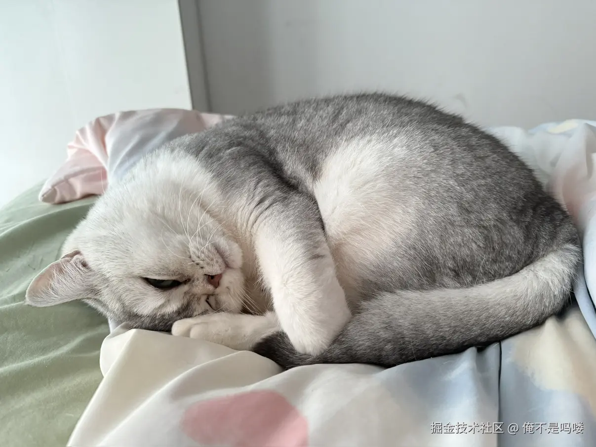 俺不是吗喽于2025-12-18 10:10发布的图片