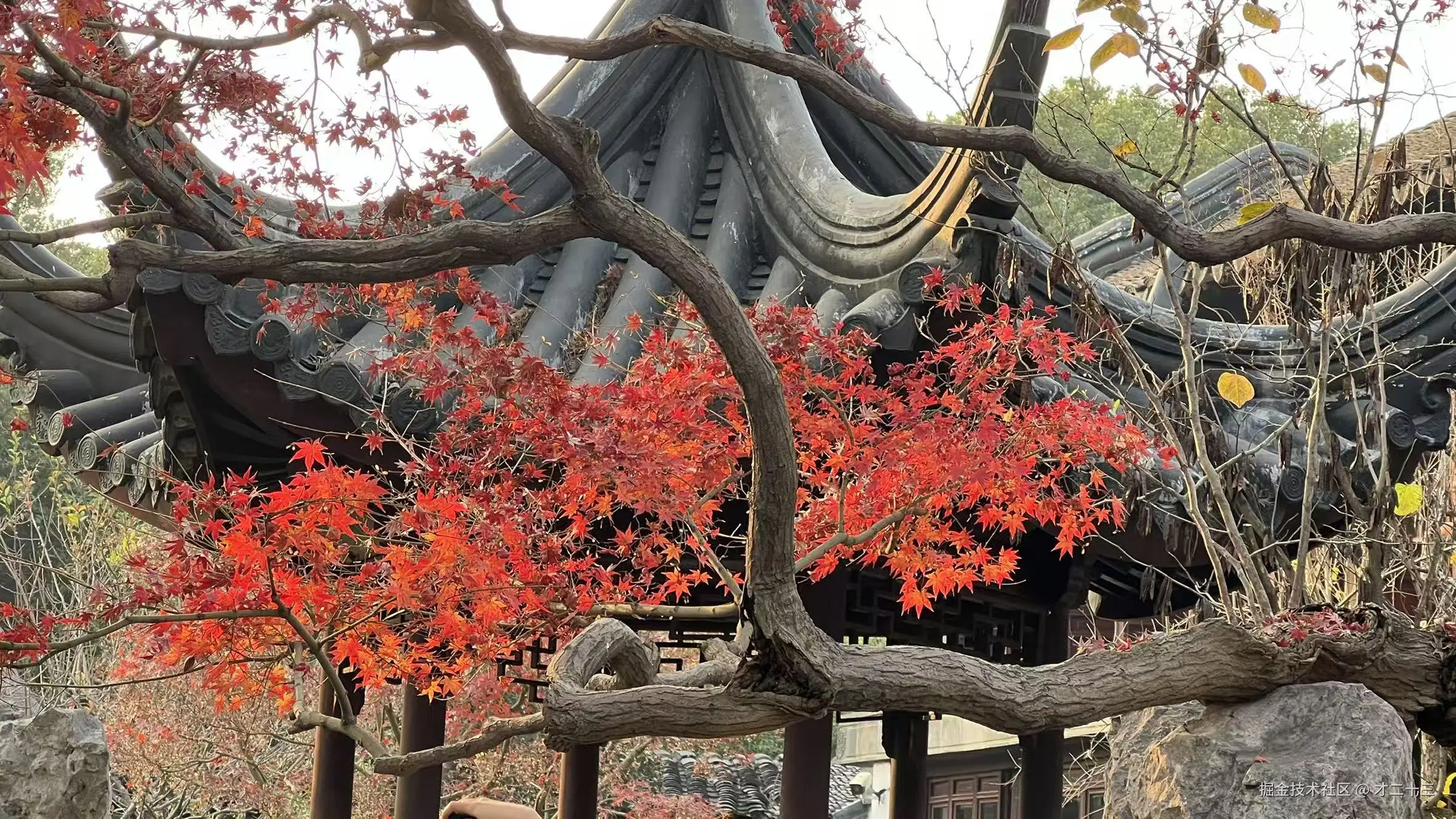 才二十三于2025-12-12 09:33发布的图片