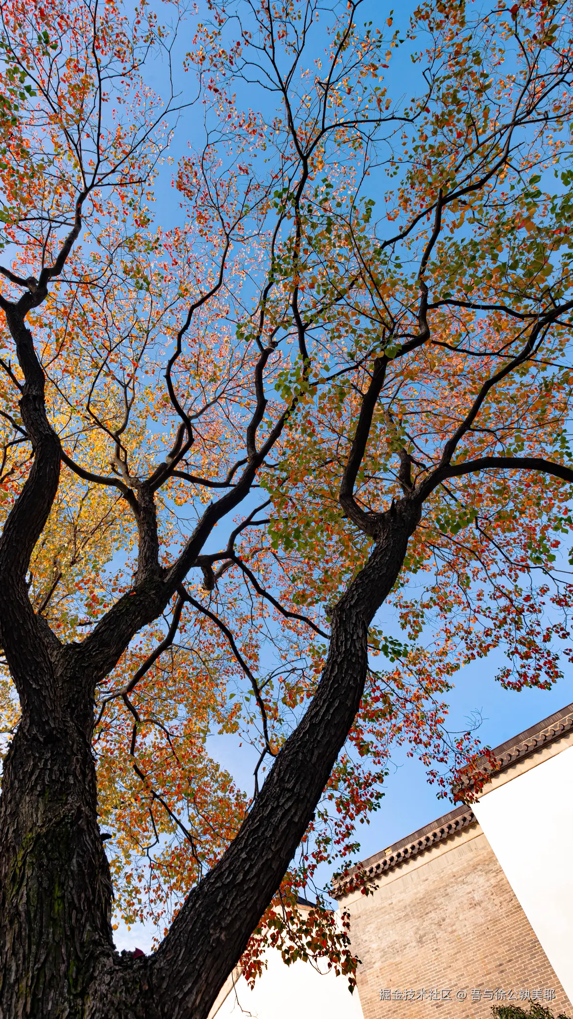 吾与徐公孰美耶于2025-08-07 11:17发布的图片