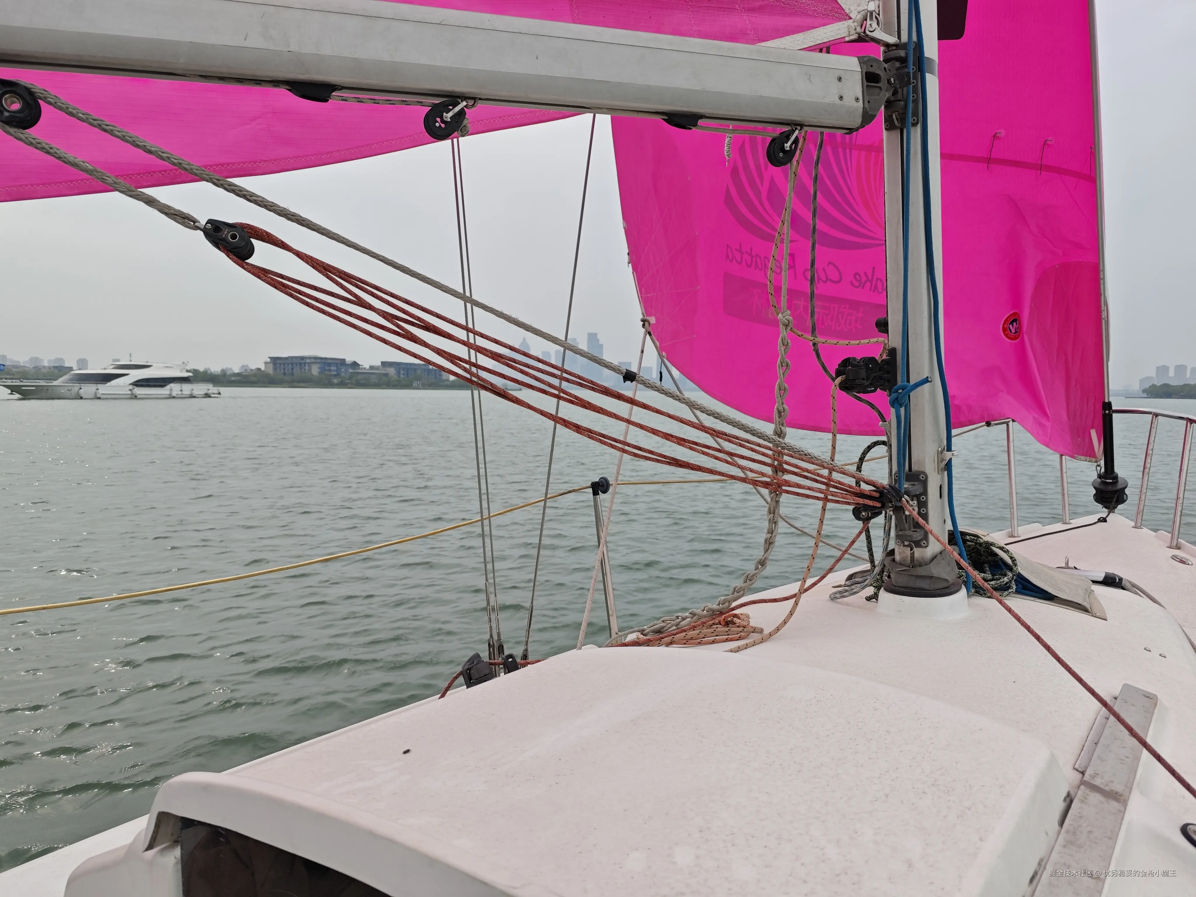 优秀稳妥的金枪小魔王于2025-04-16 07:05发布的图片