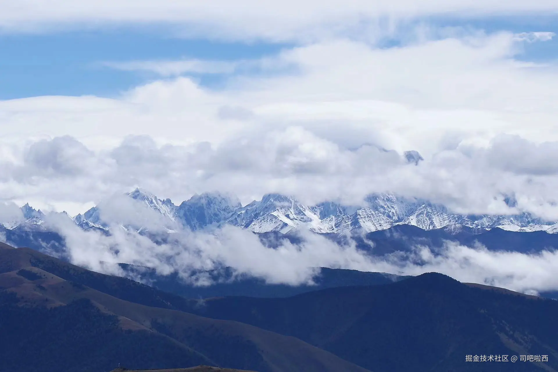 司吧啦西于2024-10-10 08:48发布的图片