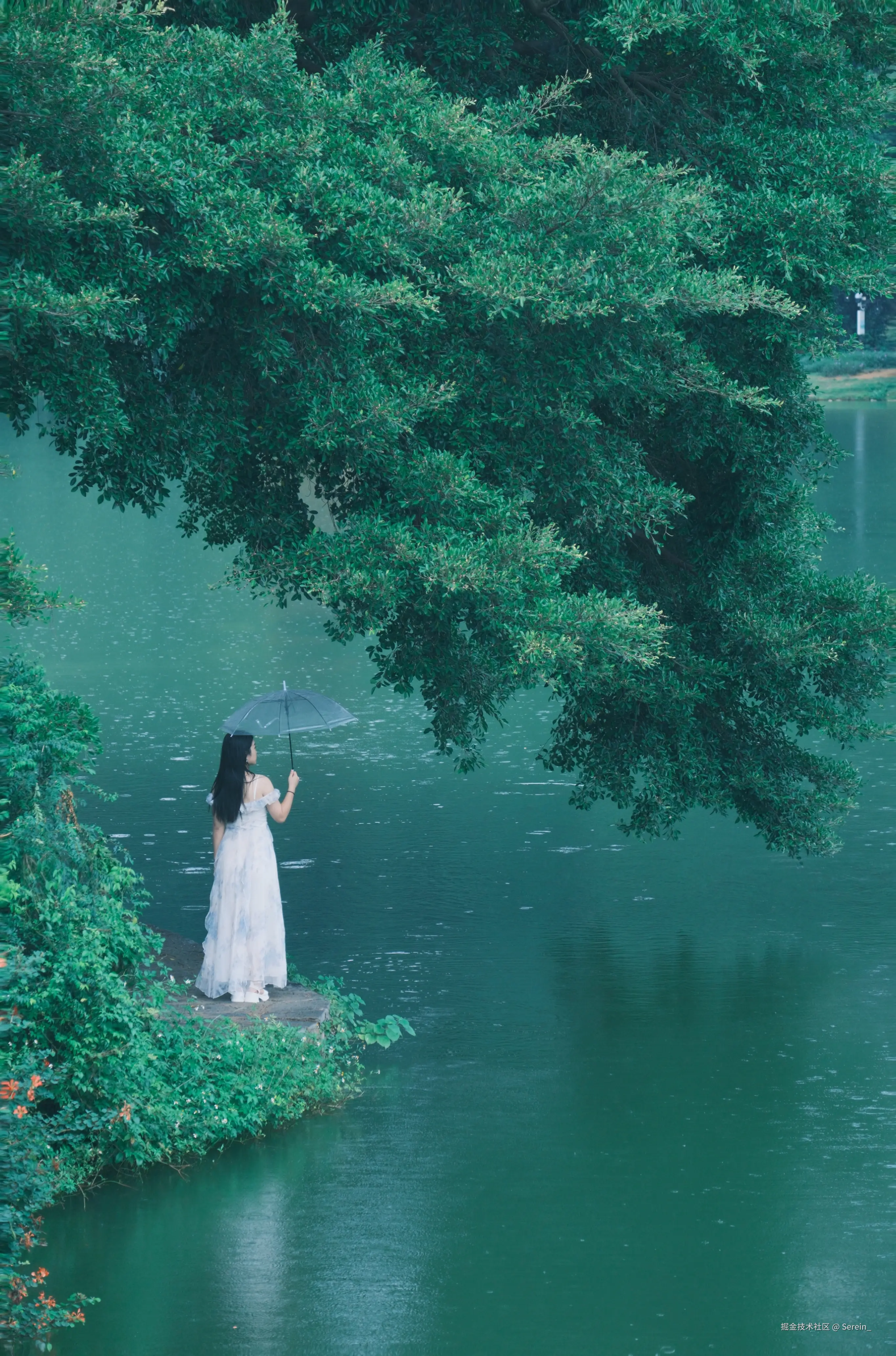Serein_于2025-09-29 09:49发布的图片