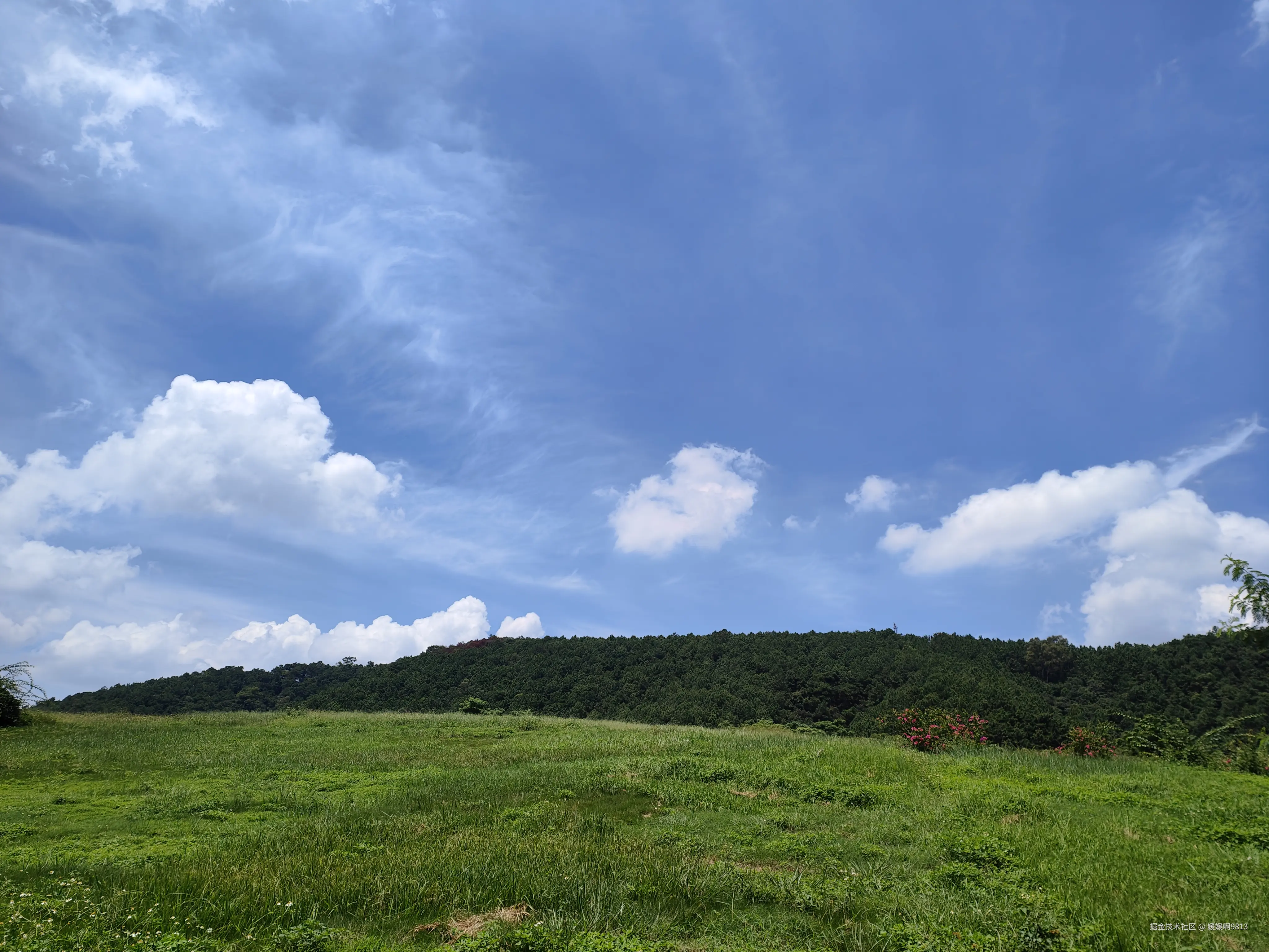 媛媛啊9813于2025-08-23 19:52发布的图片