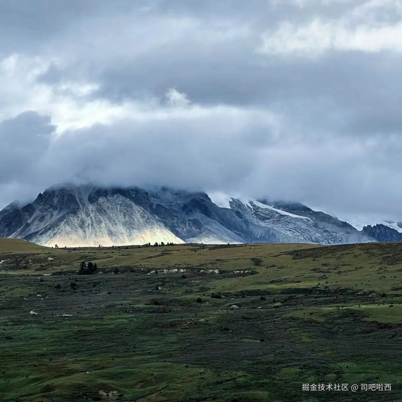 司吧啦西于2024-10-10 08:48发布的图片