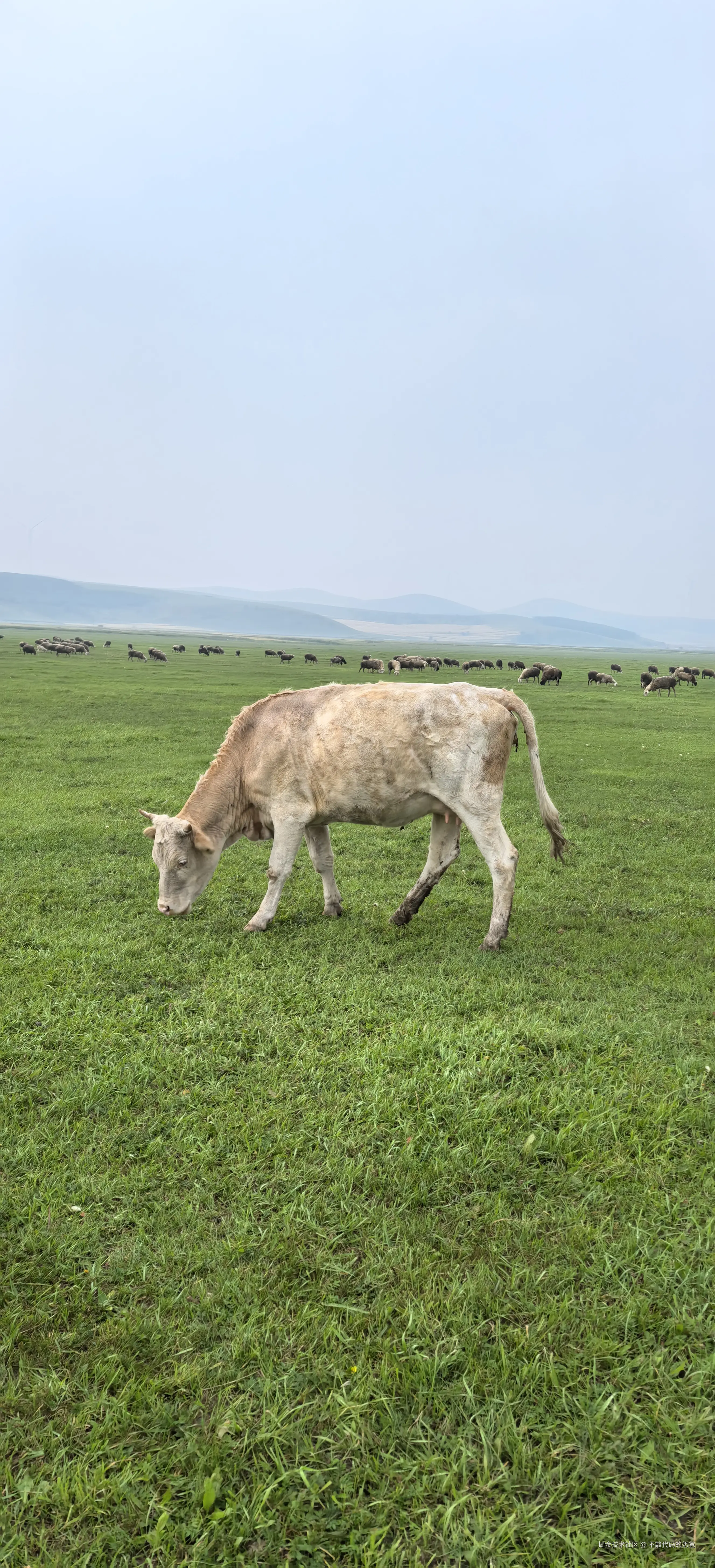 不敲代码的奶爸于2024-09-02 07:36发布的图片