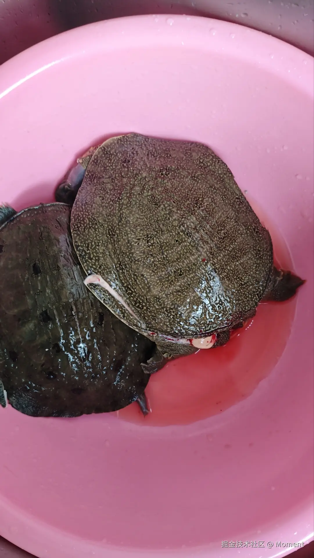 Moment于2025-03-04 14:12发布的图片