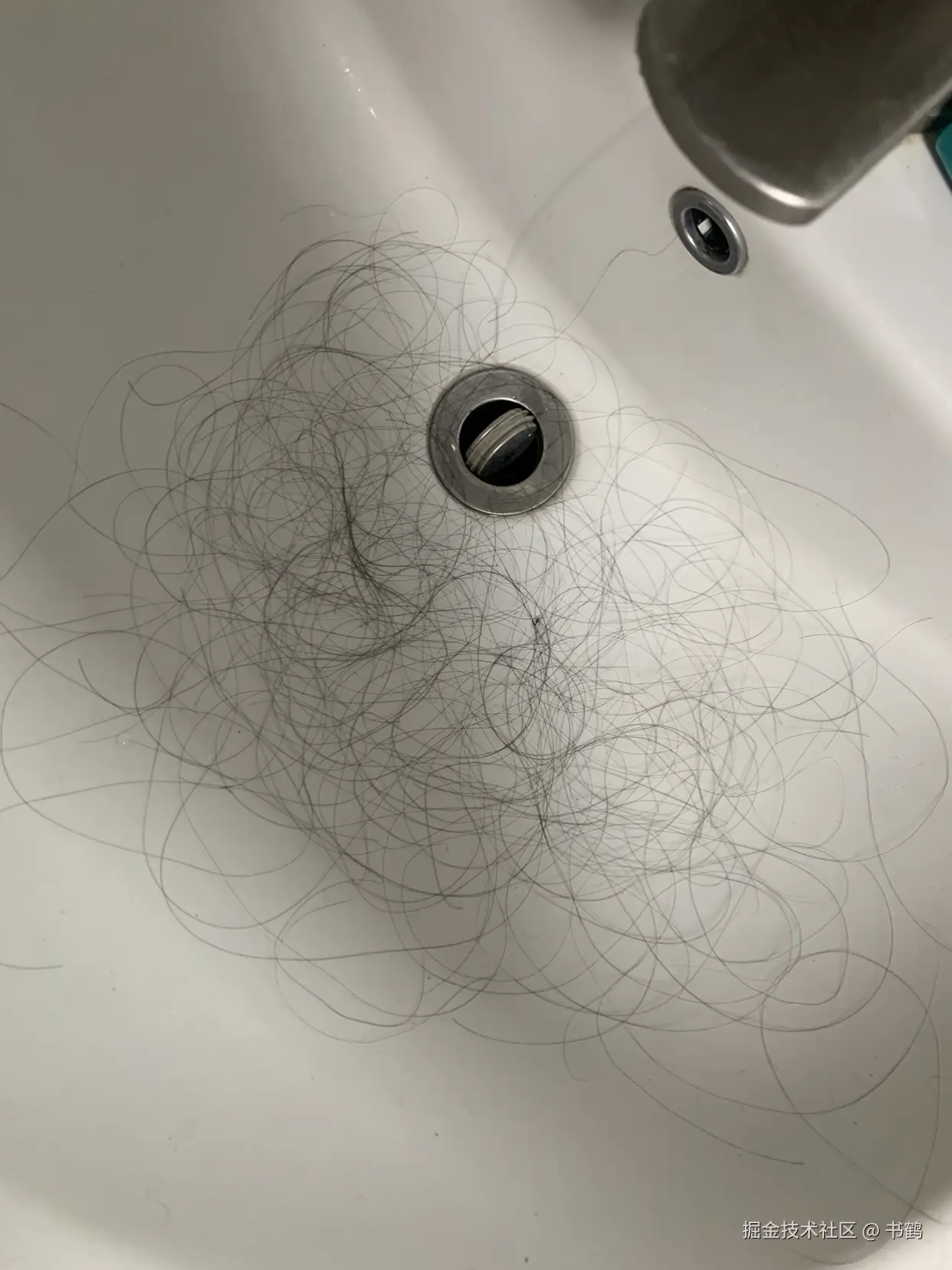 书鹤于2024-08-01 00:43发布的图片