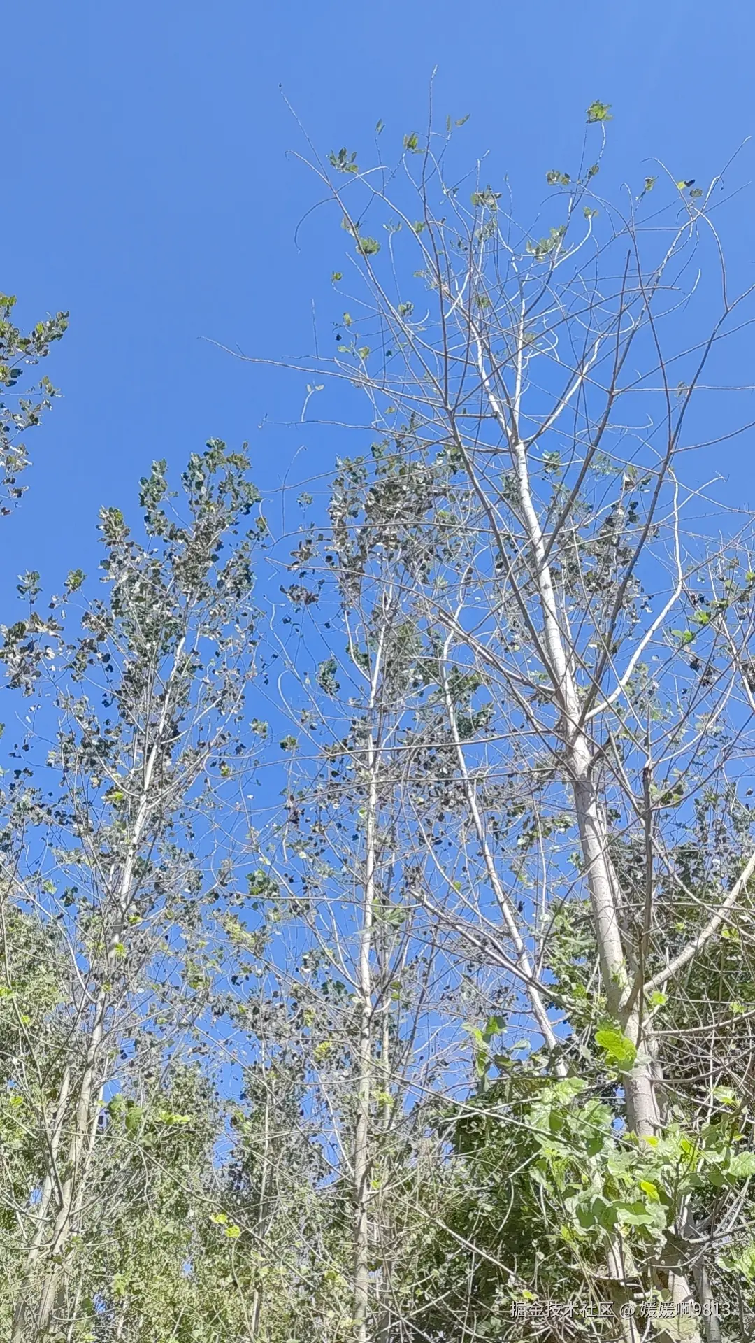 媛媛啊9813于2024-10-06 08:37发布的图片