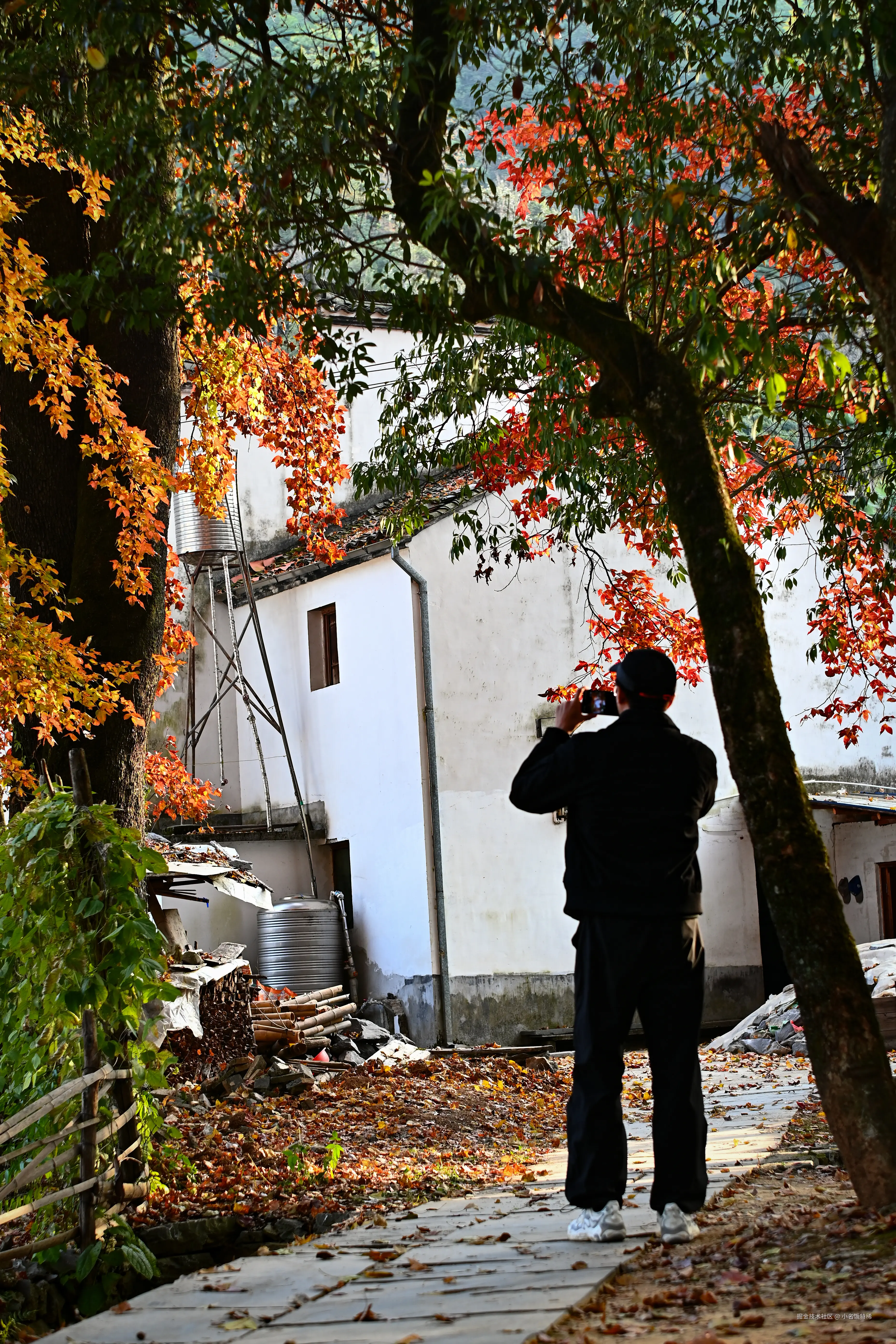 小名饭特稀于2025-12-10 10:41发布的图片