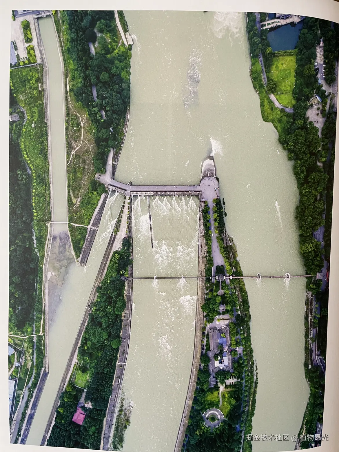 植物昂光于2026-04-03 22:07发布的图片