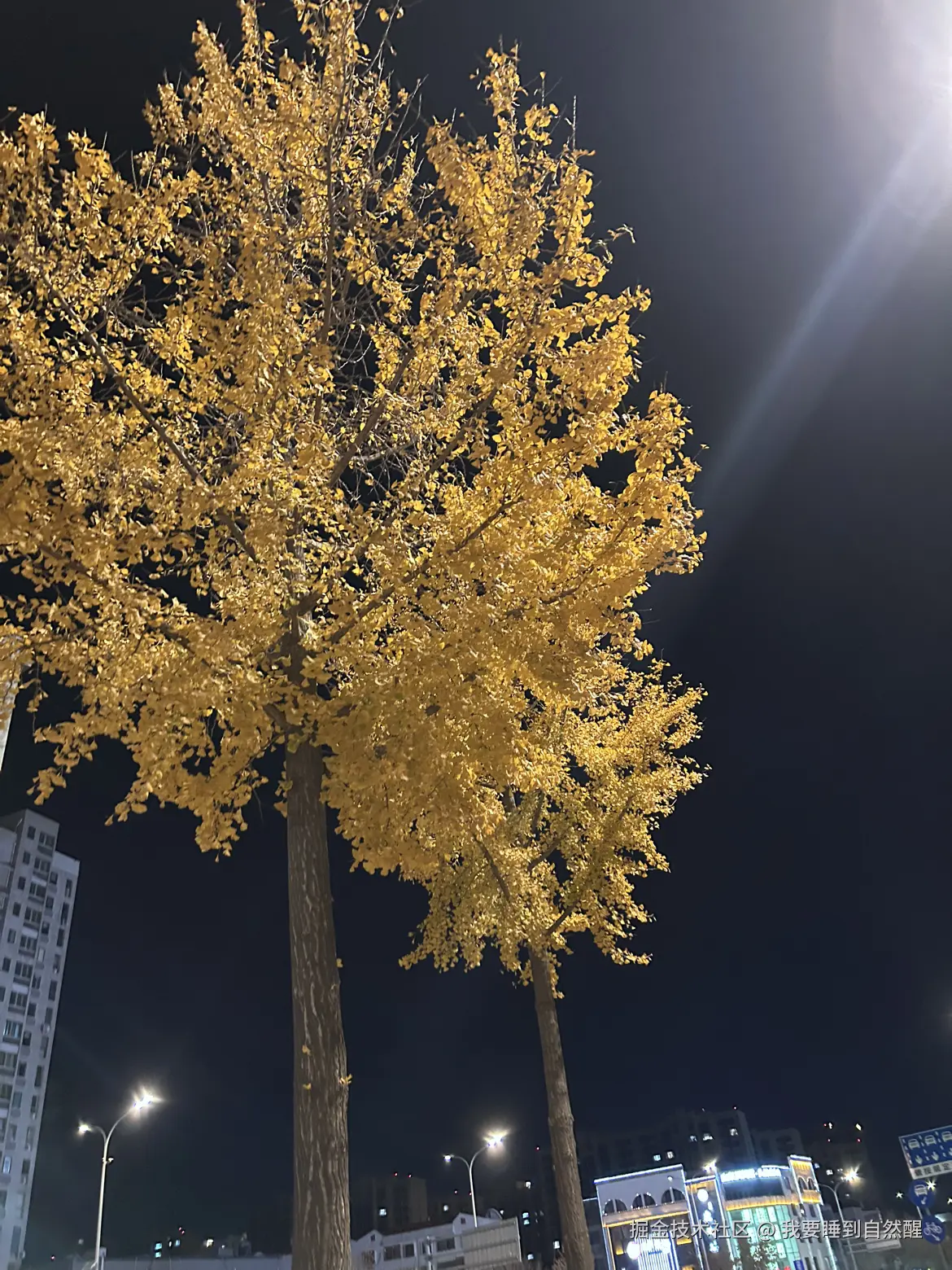 我要睡到自然醒于2024-12-07 07:38发布的图片