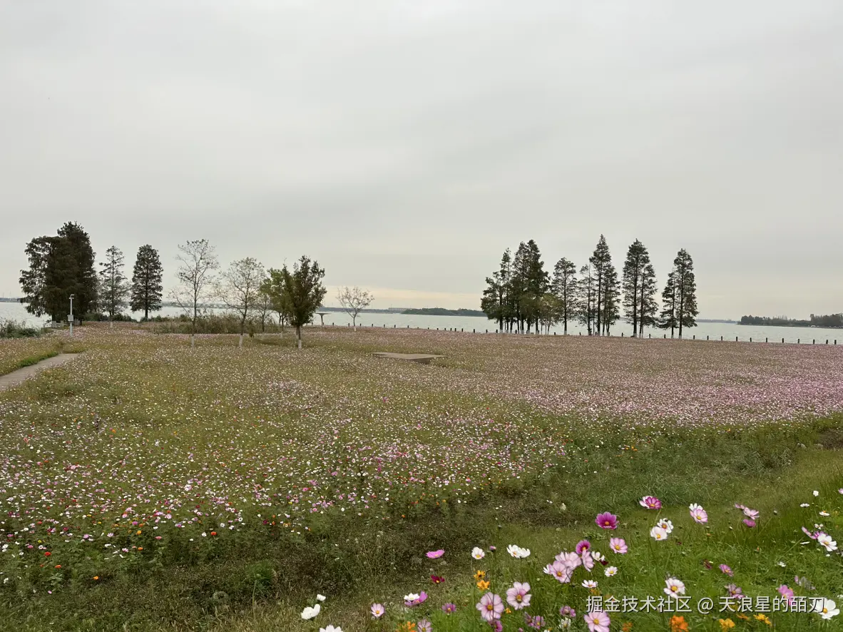 天浪星的皕刀于2024-11-21 07:12发布的图片